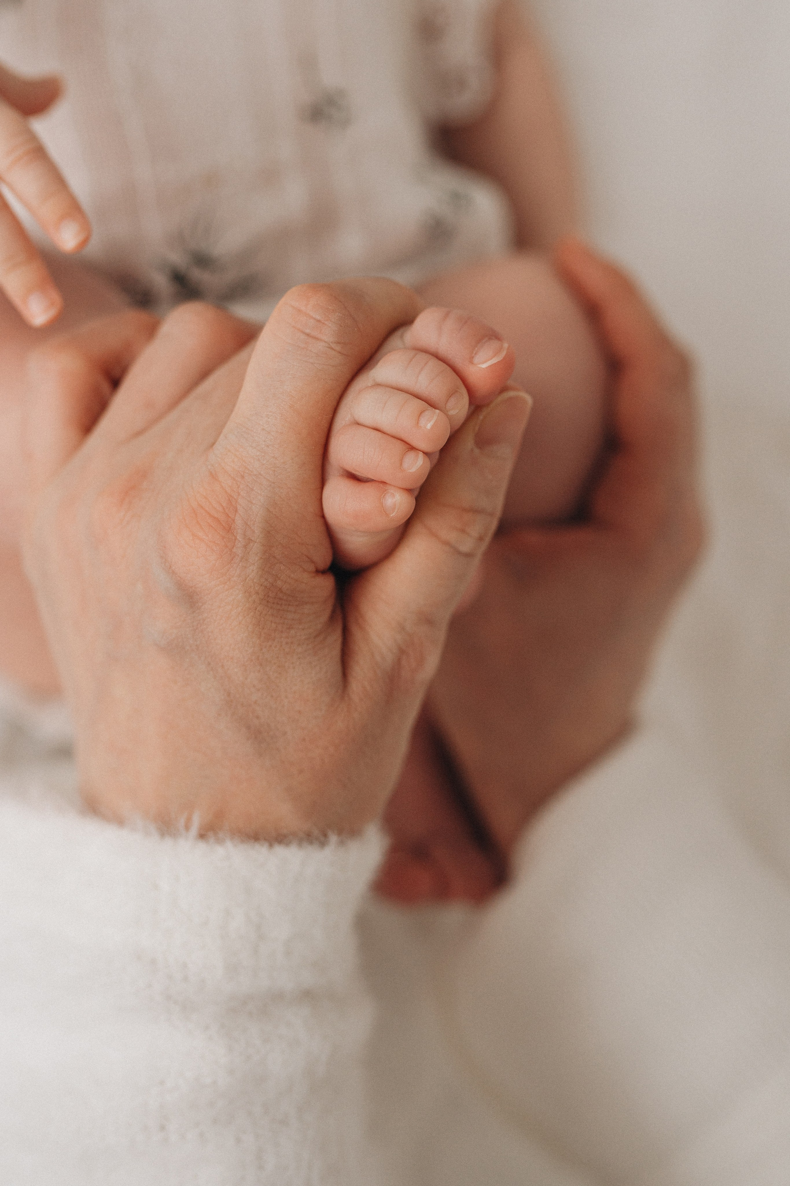 Там, где живет любовь. Фотограф новорожденных малышей Одинцово/Москва Юлия Скок