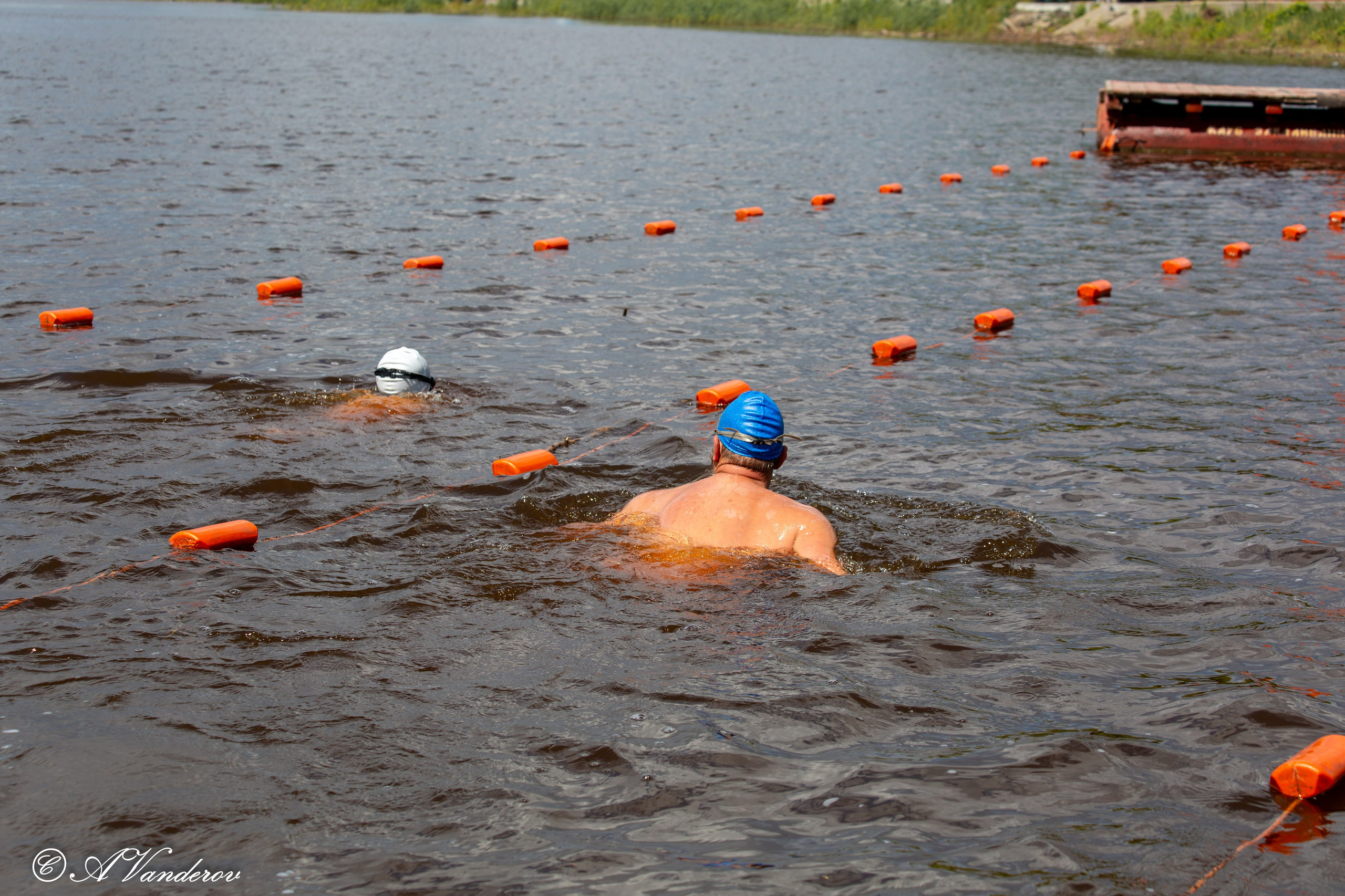 Заплыв 02.06.2024. Фотограф Омск | Александр Вандеров