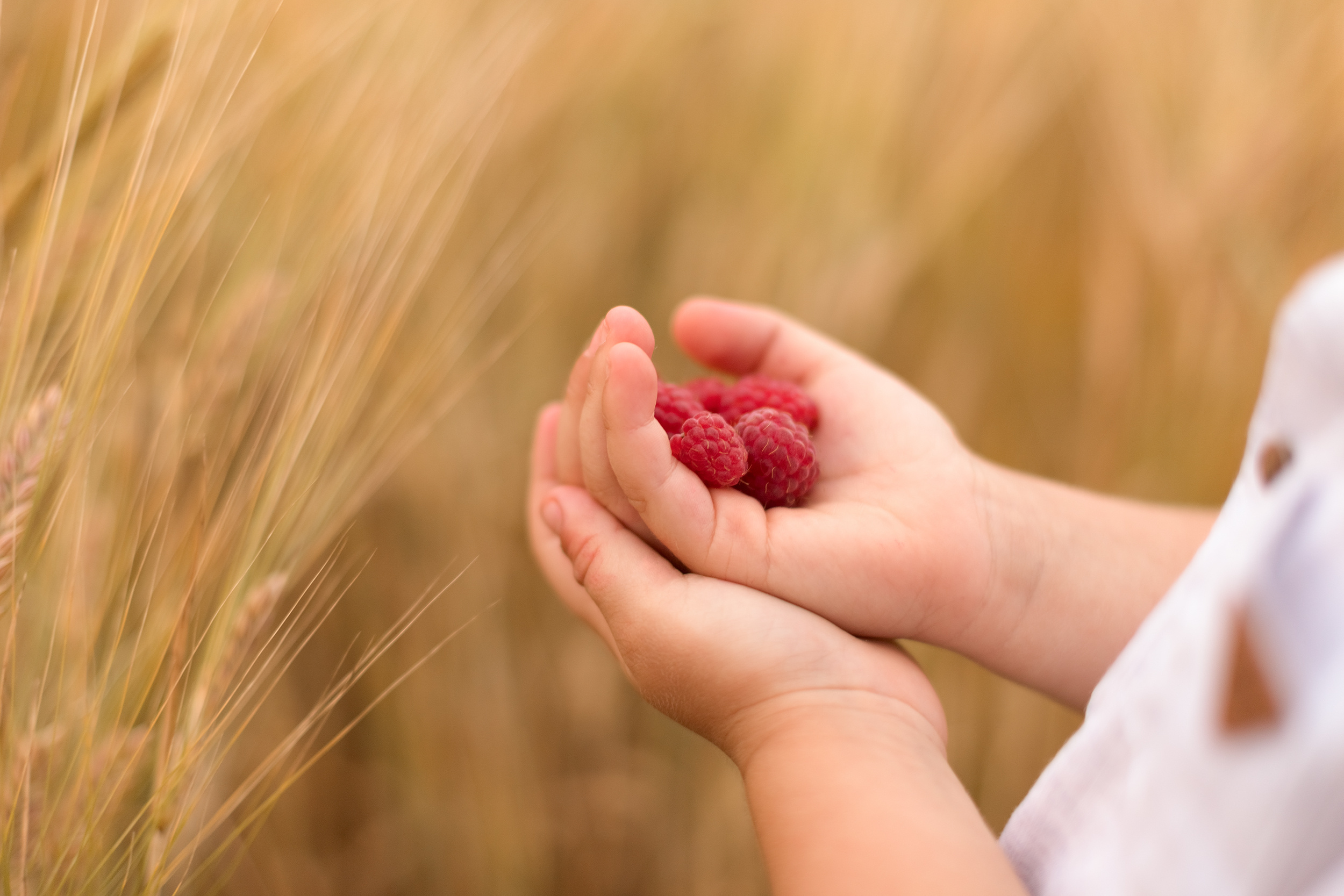 Костюша. Семейный фотограф в Санкт-Петербурге Анастасия Нечаева