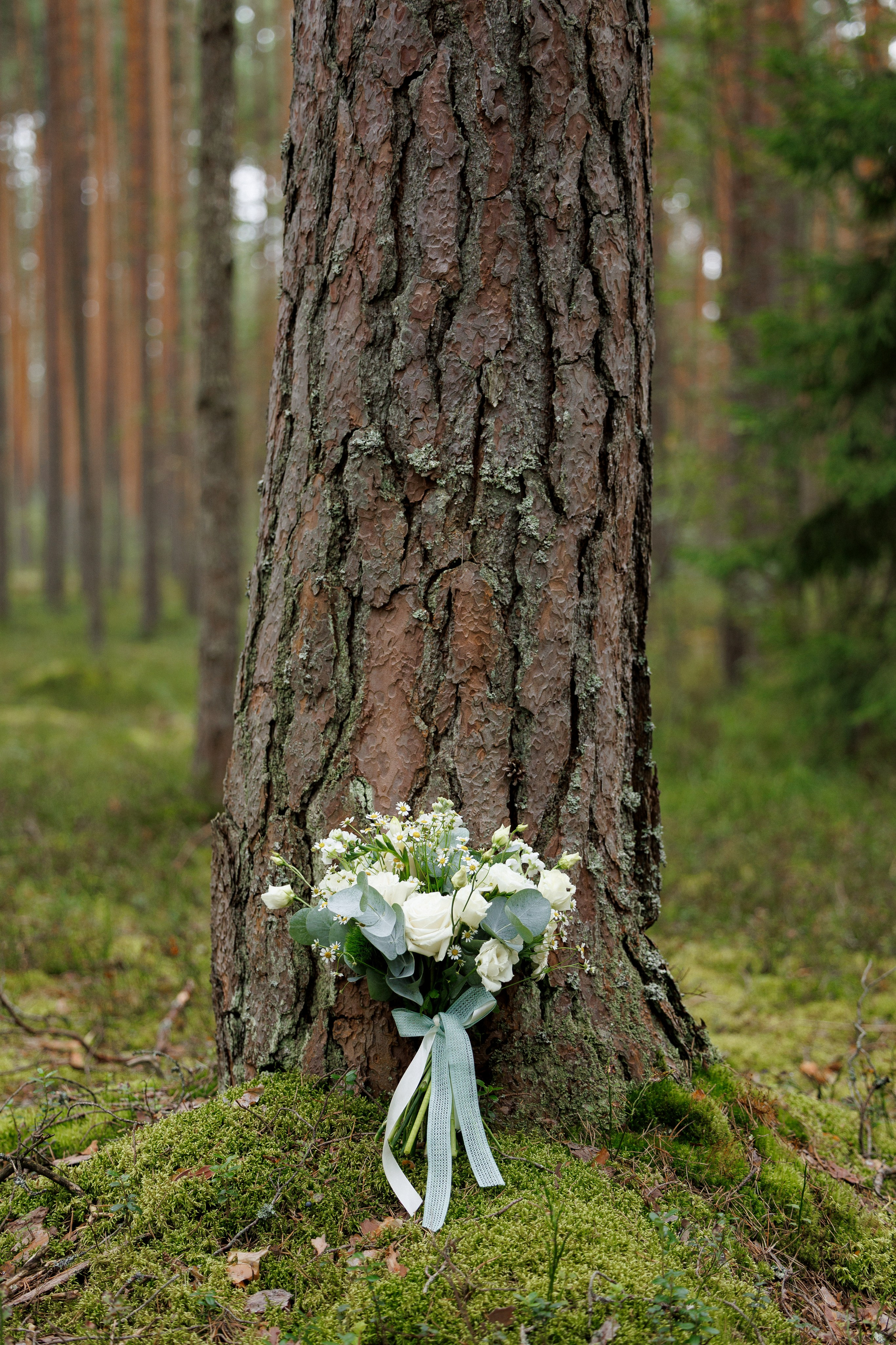 Ромашковые ромашки. Свадебный и семейный фотограф в Твери, Москве, Санкт-Петербурге