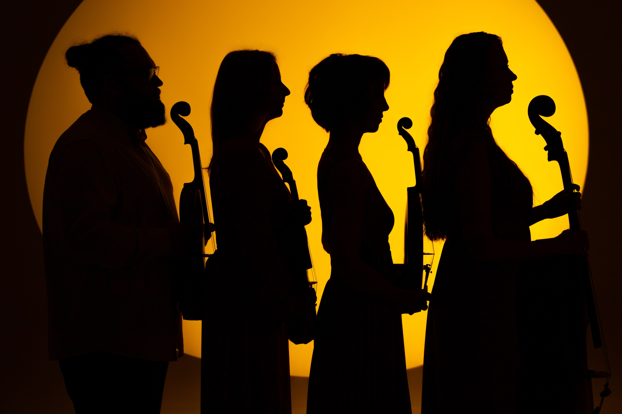 CHAMBER QUARTET. Фотограф Новосибирск Анна Полонова