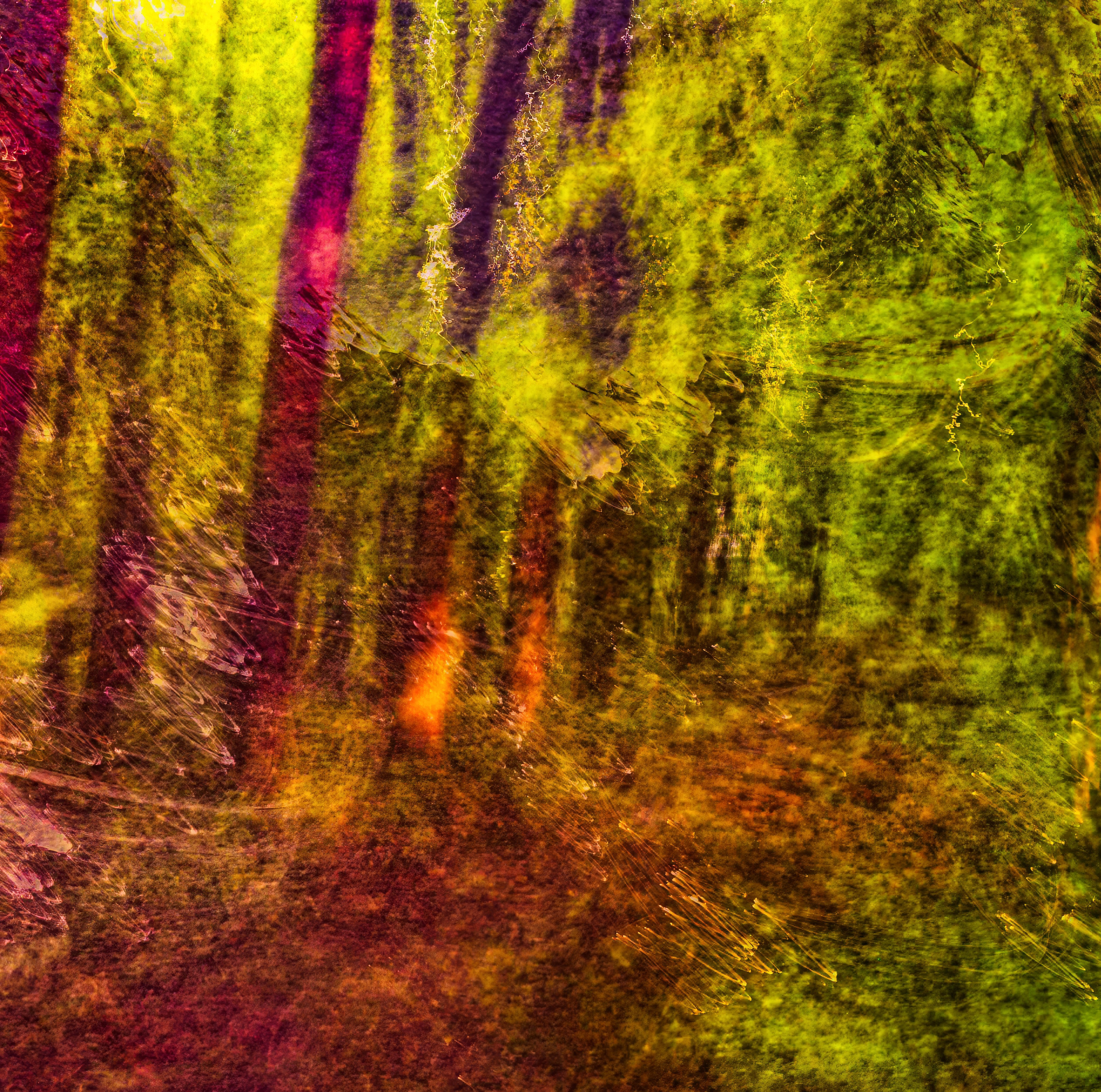 Импрессионизм. Сайт московского фотографа Дениса Иванова