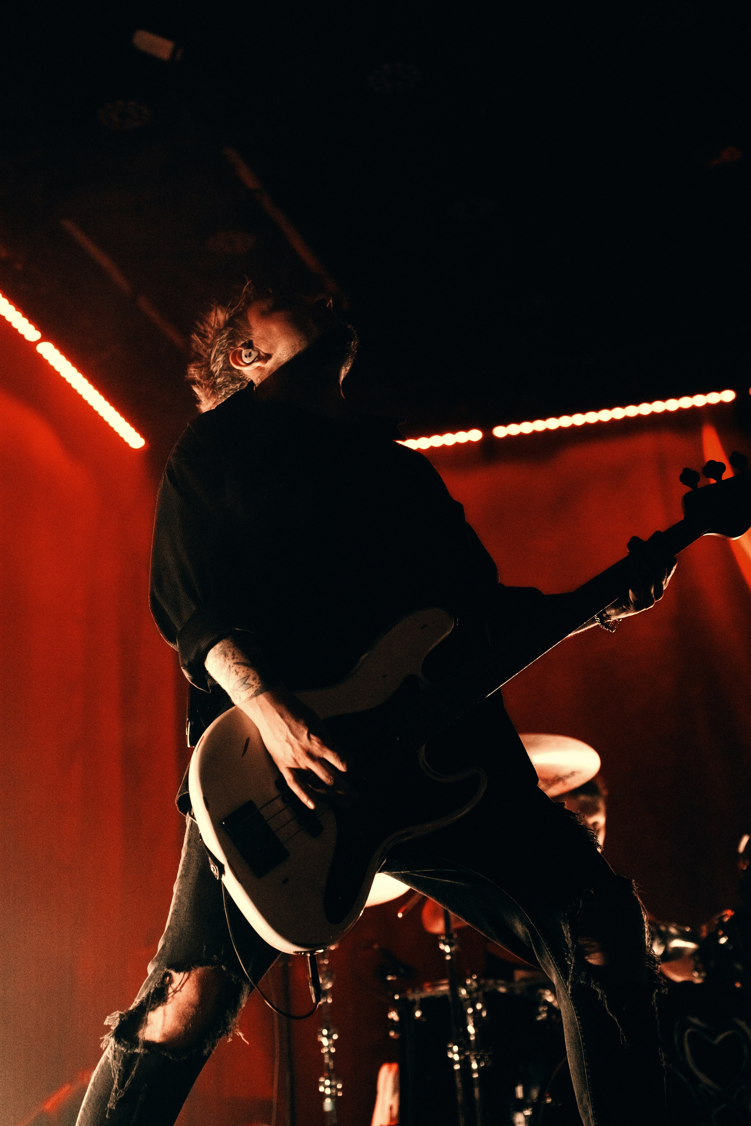 WILDWAYS. PASHAHARCE PHOTOGRAPHER & VIDEOGRAPHER