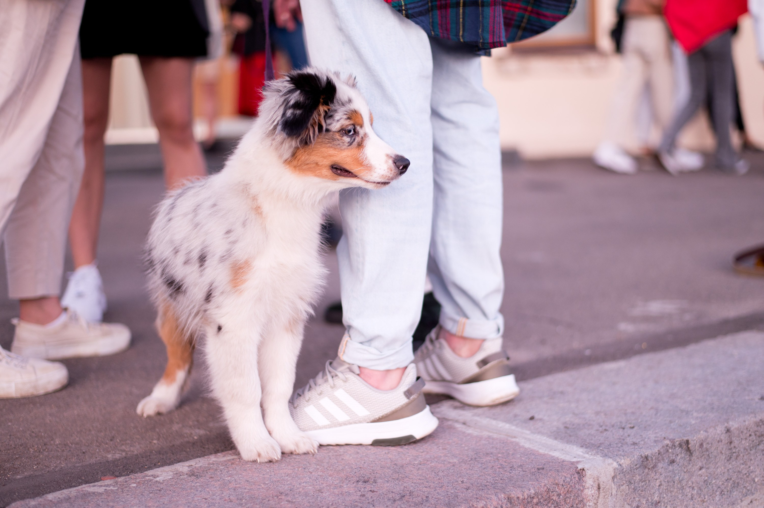 Работа стенда PLOOM в рамках Chess&Jazz. Репортажный фотограф и видеограф Слава Думчев. Тимбилдинги, отчетники, корпоративы