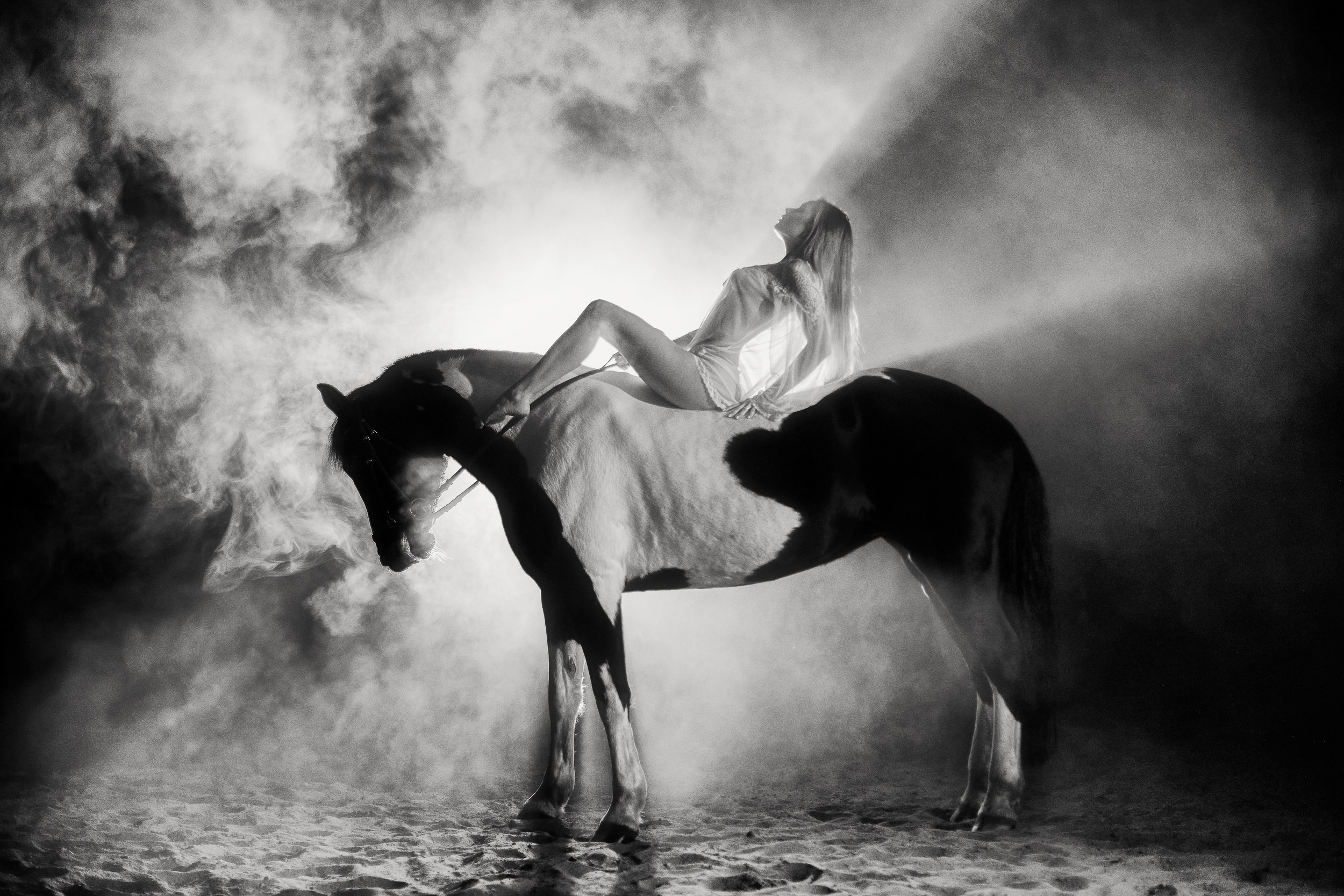 Фотосессия с лошадьми, Фотограф Михаил Семенов г. Ярославль