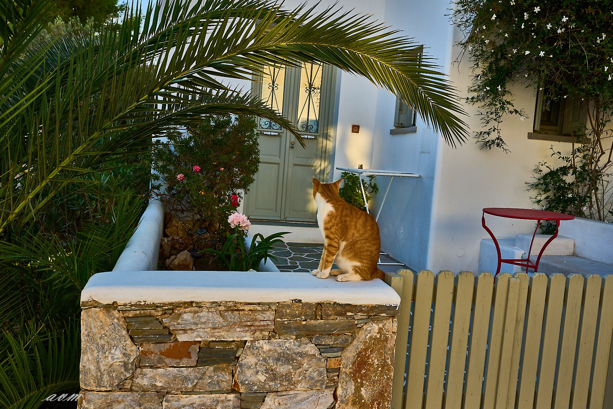 Фолегандрос-санторити. Фотограф Михеев Андрей