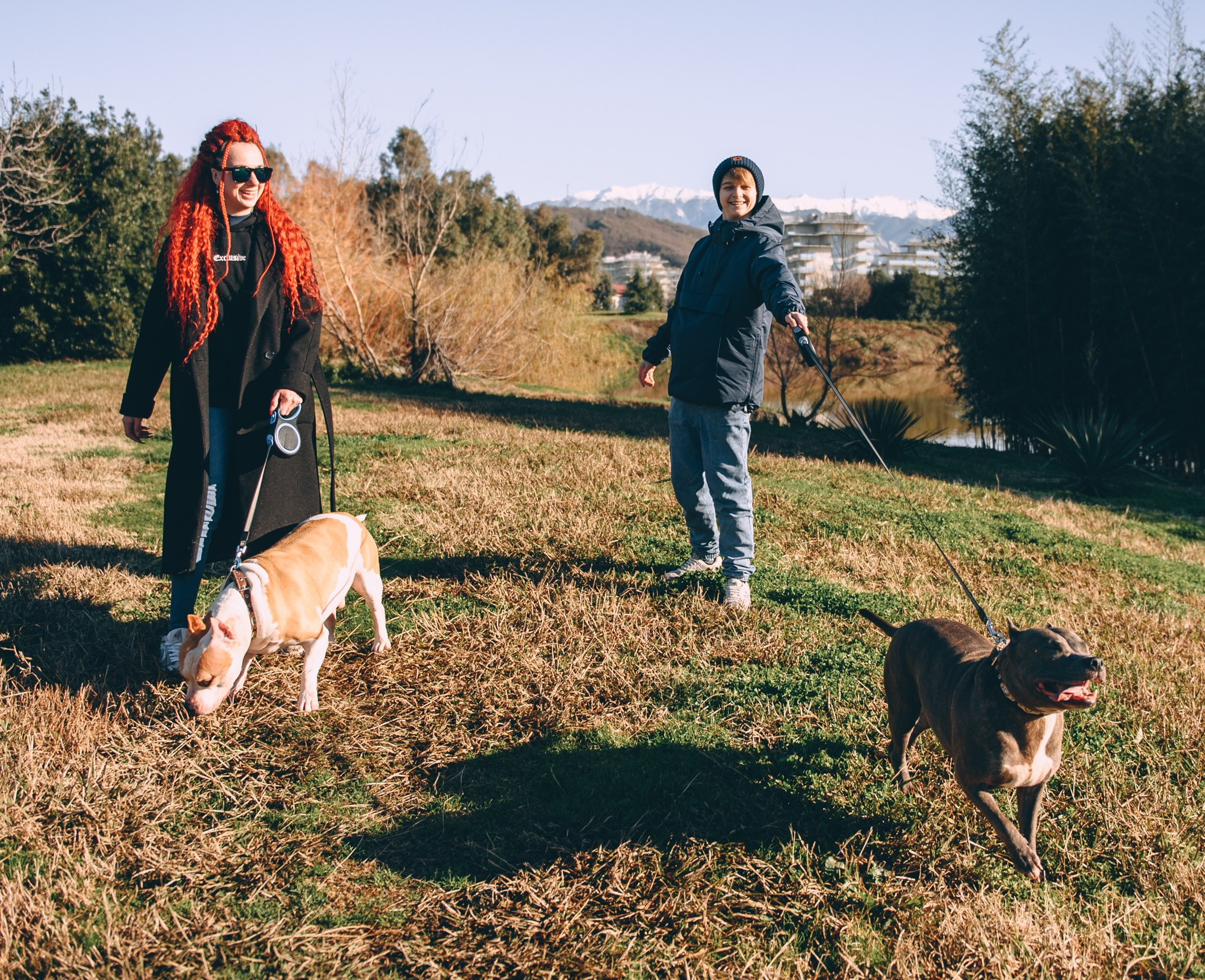 Игры с собаками. Свадебный и семейный фотограф София Невская