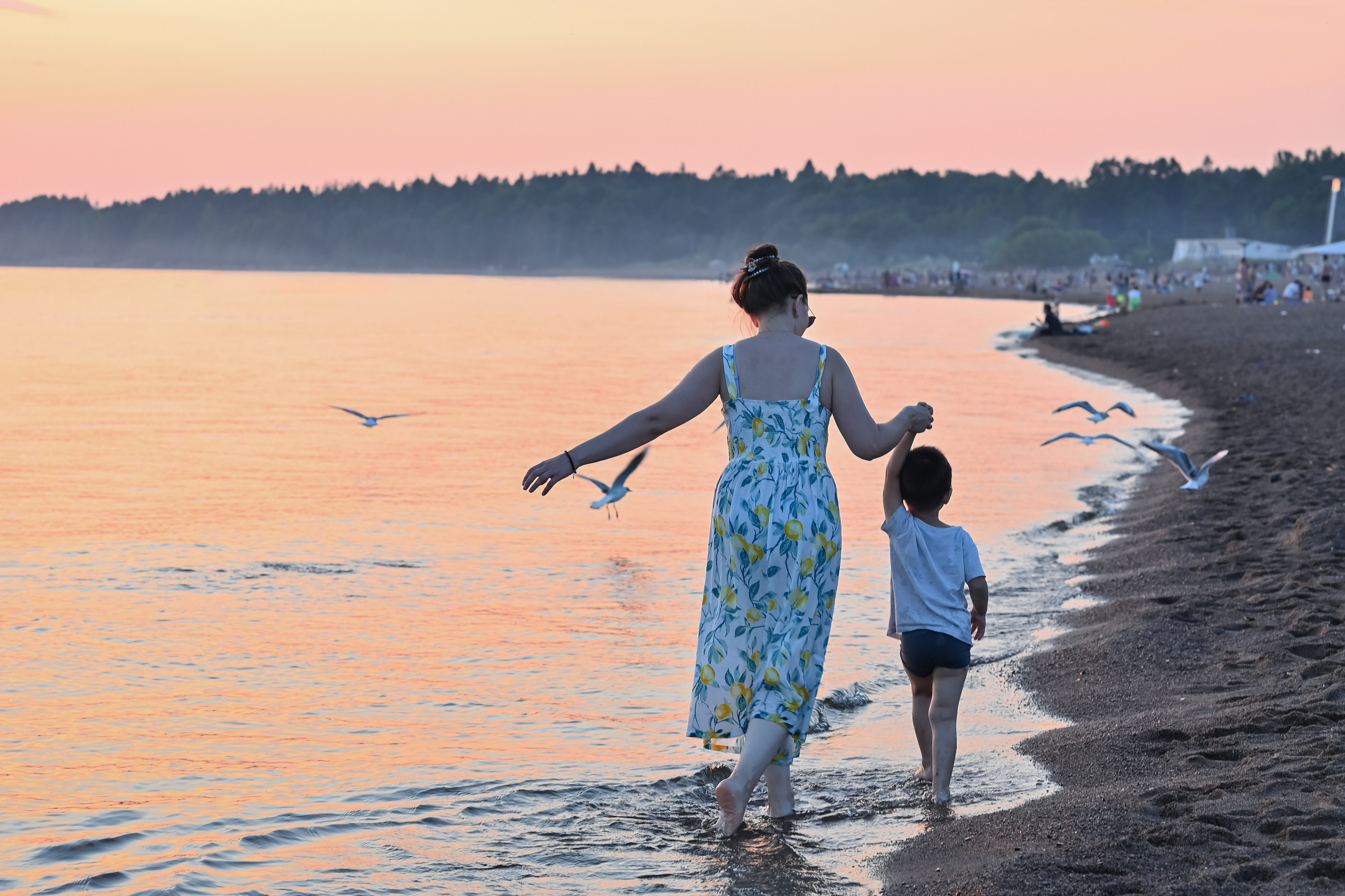 . ZDARONOKIA Репортажный фотограф