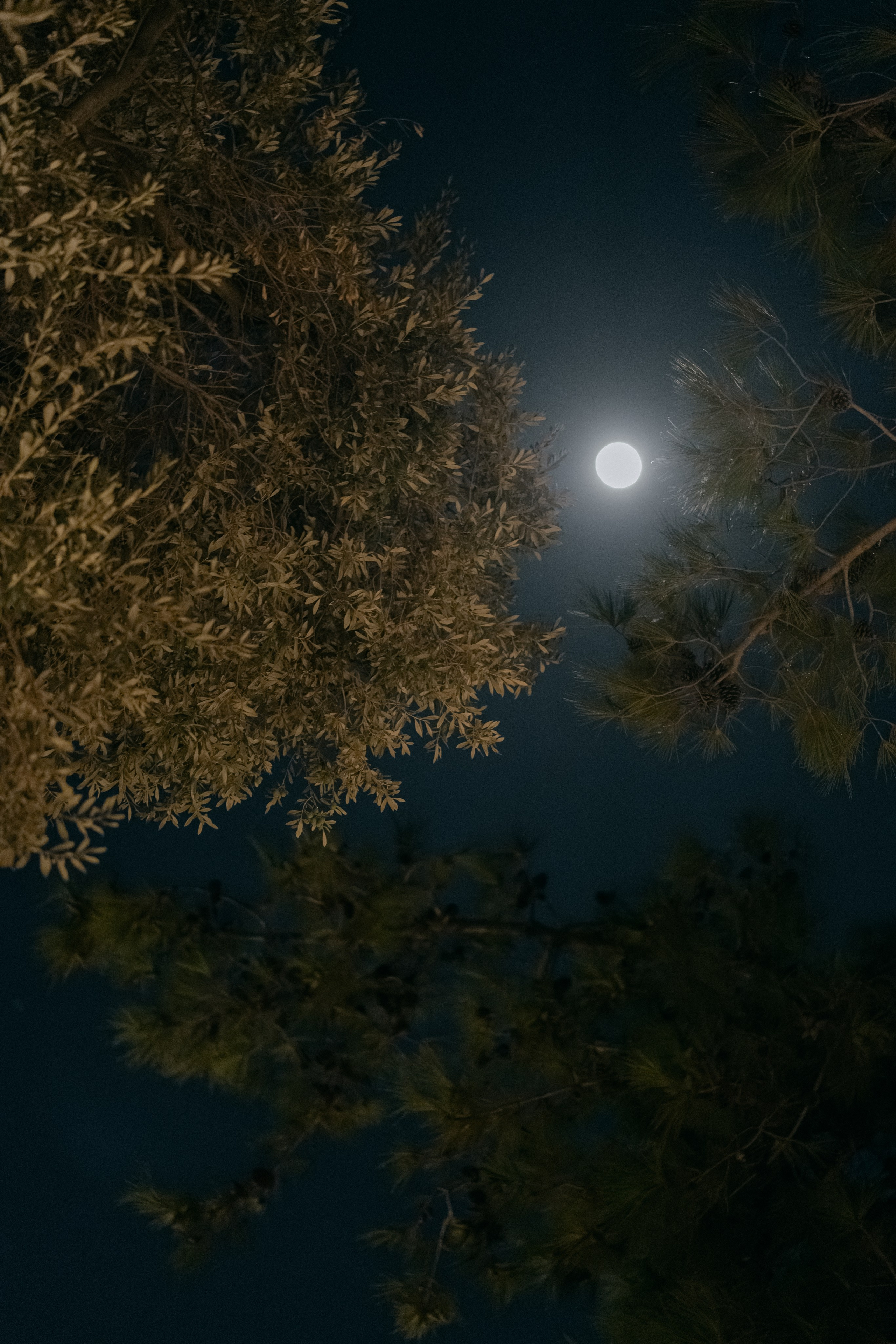 Sunshine in Izmir. Wedding & Documentary Photographer based in Nuremberg — available across Europe & Turkey | Vitalii Nasonov