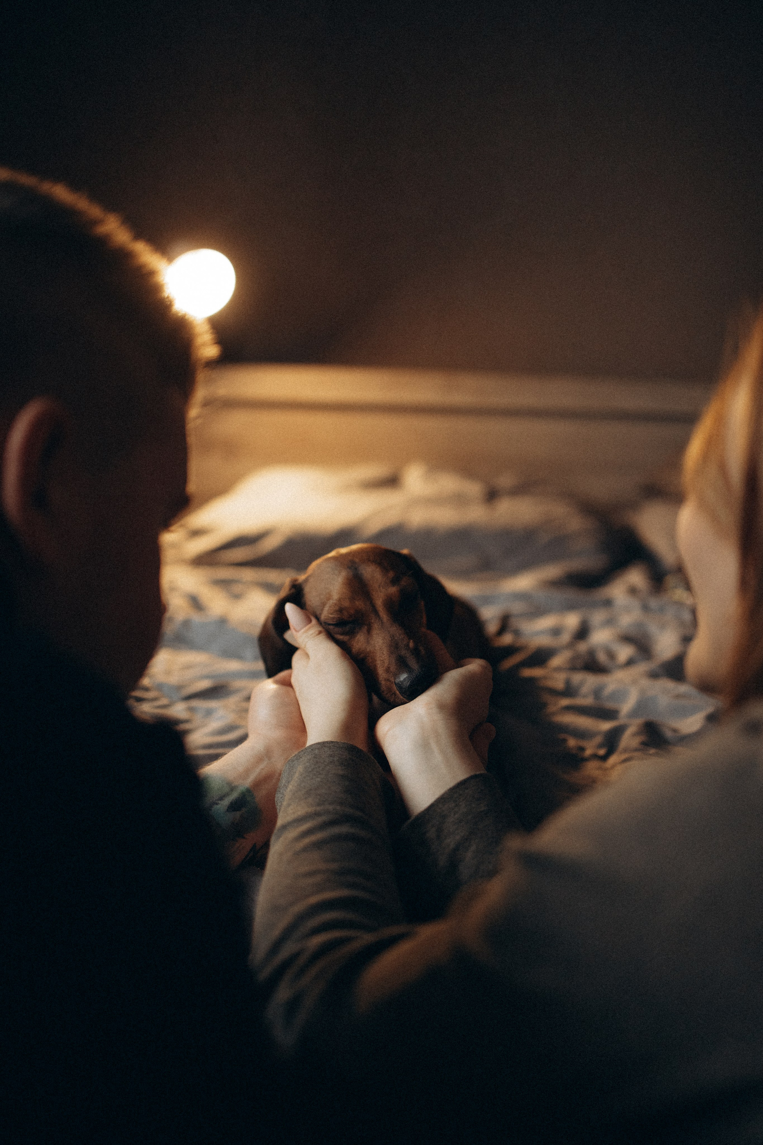 Маша и ее семья. Фотораф — анималист Мария Шистка
