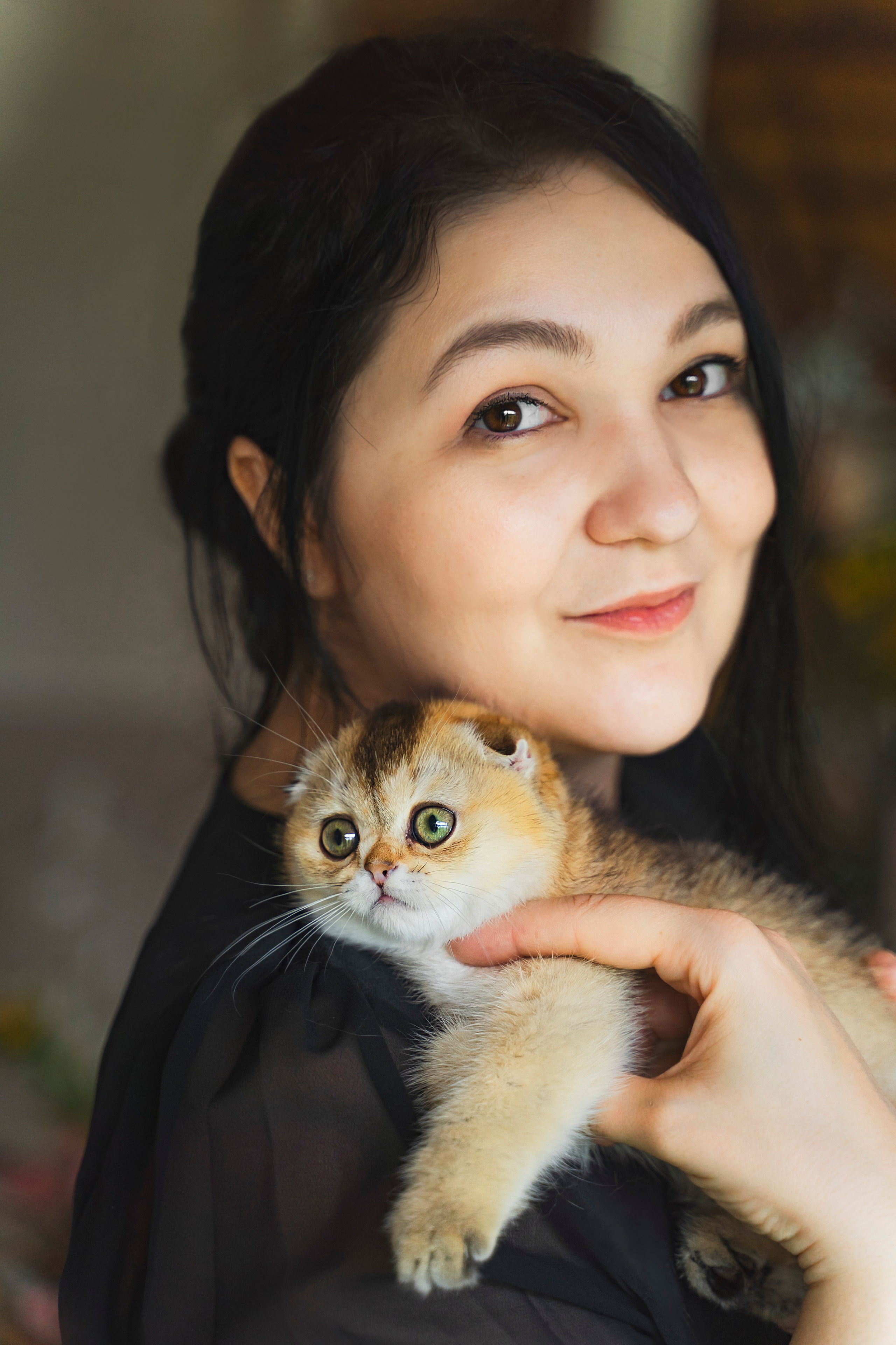 Питомник Шотландских кошек. Фотограф в Москве Ленарская Дарья