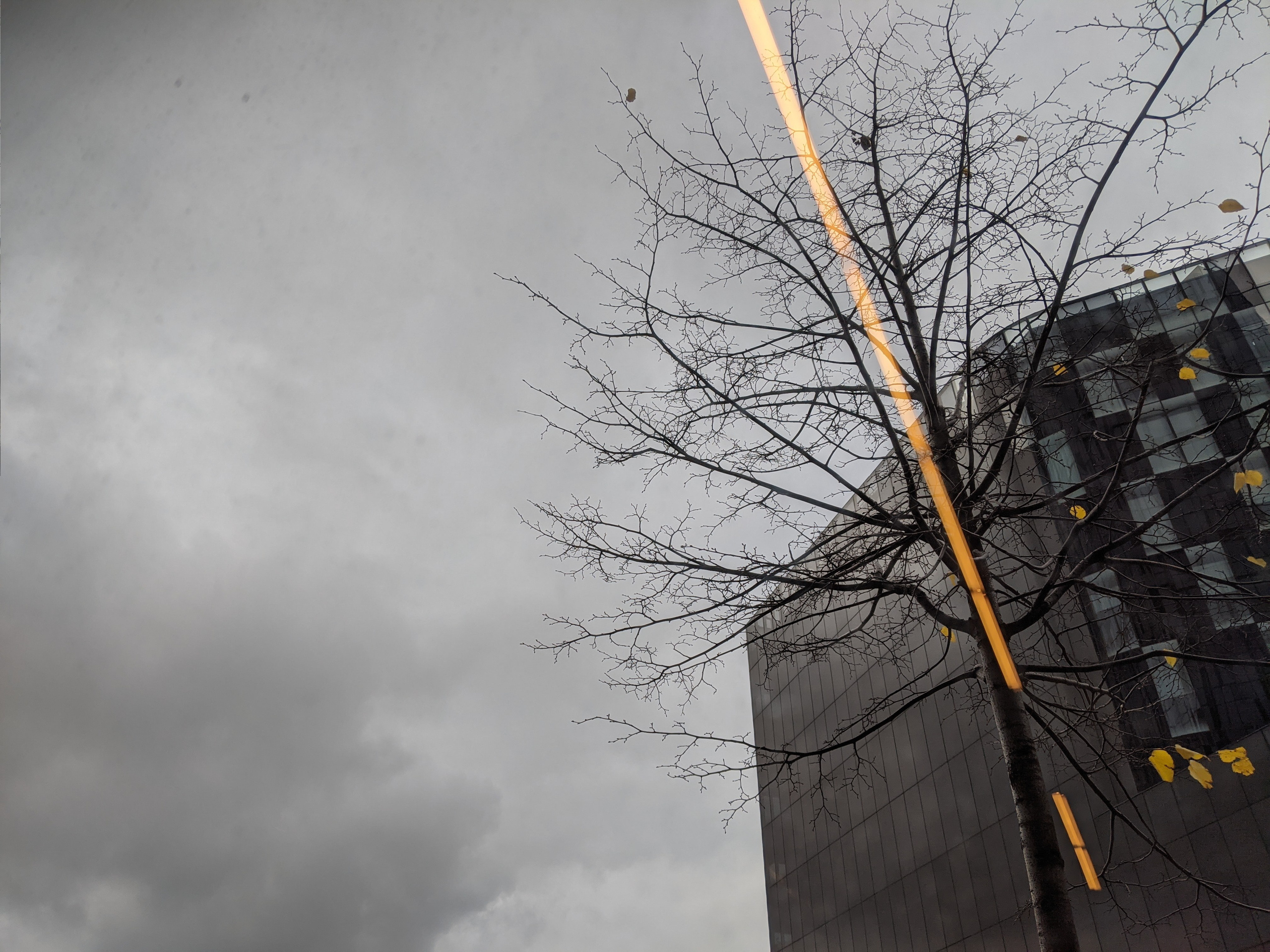 Мобильная фотография. Интерьерный и портретный фотограф в Москве Анна Моногарова