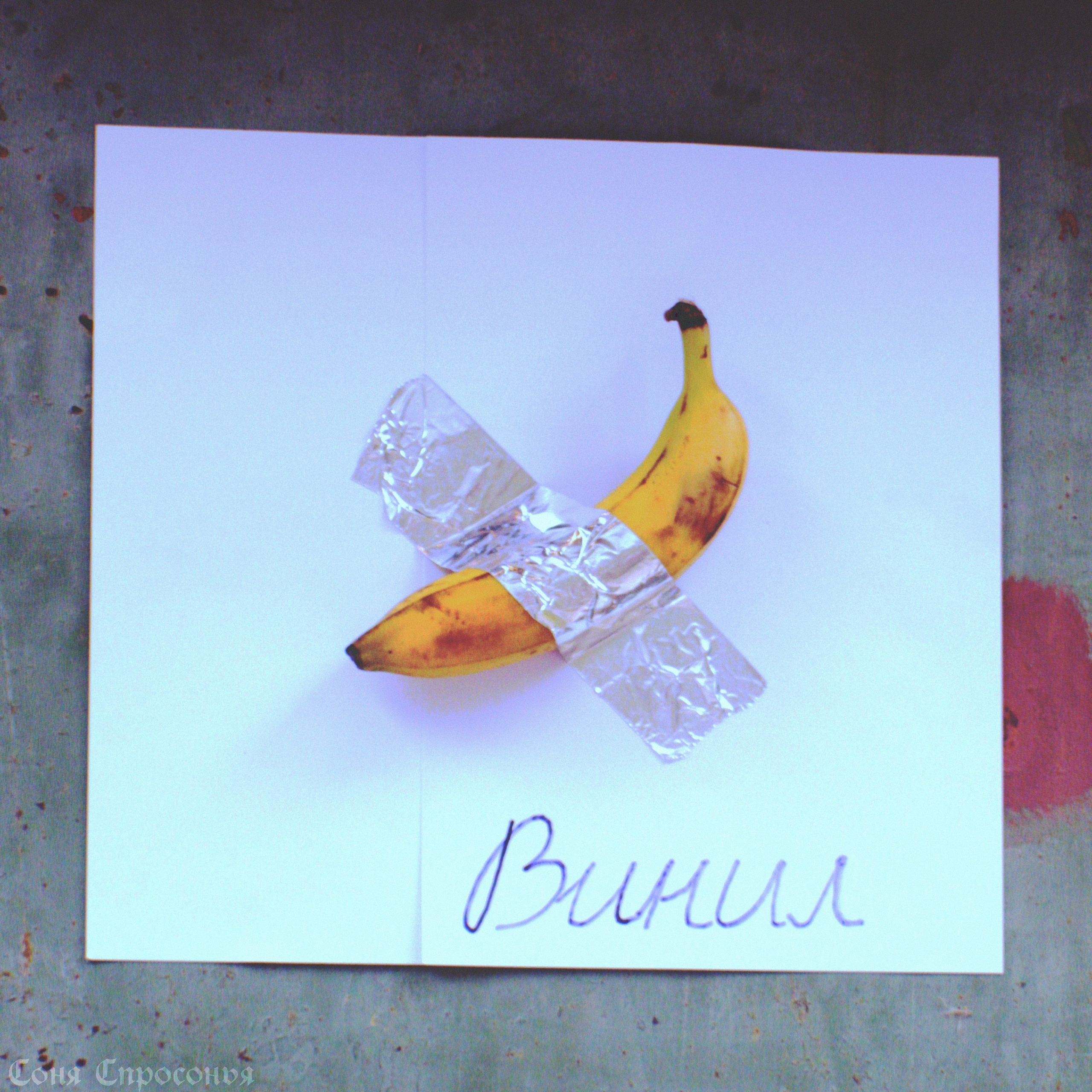 Синестетик 26.08.23. Концертный и портретный фотограф в Москве Соня Спросонья