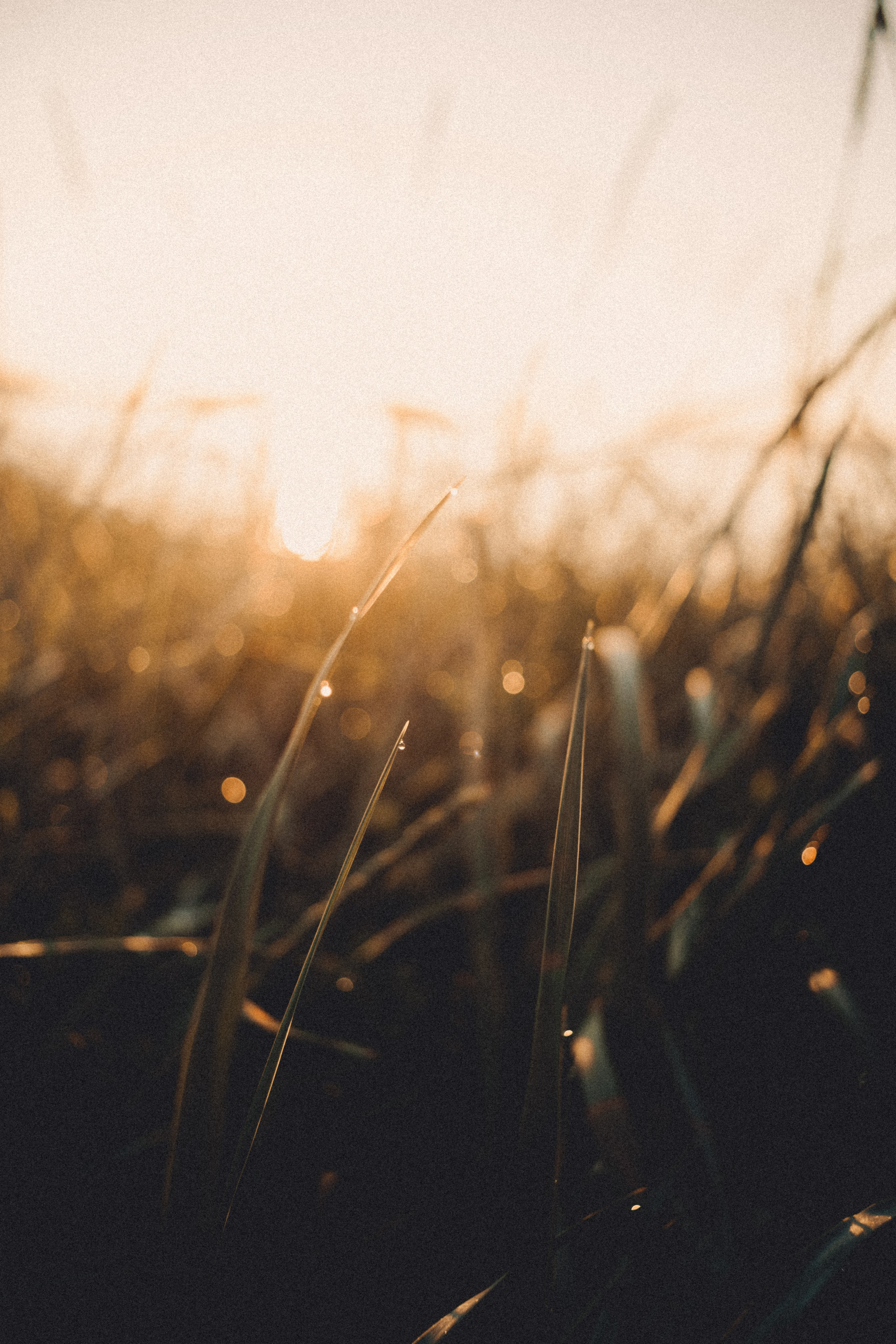 Териберка, Мурманск. Фотосъёмка для компании по организации туров в коллаборации с Яндекс 360