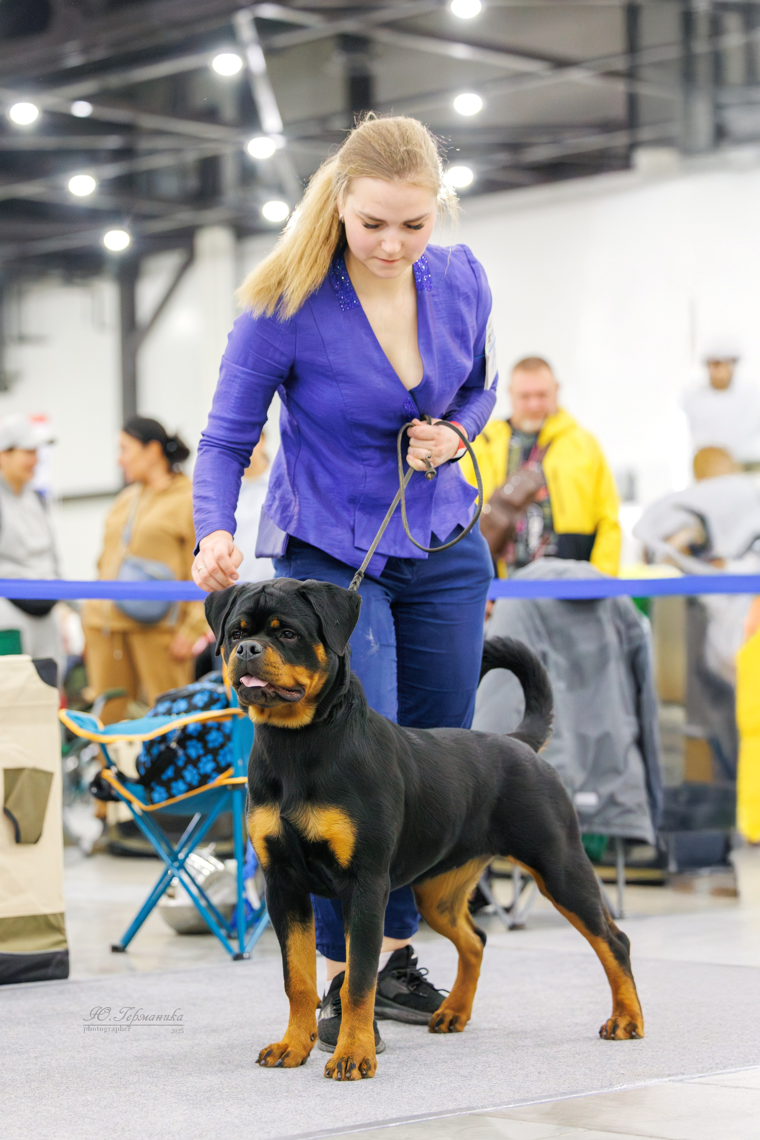 Питер 12-13.12.2025. Фотограф-анималист Юлия Германика