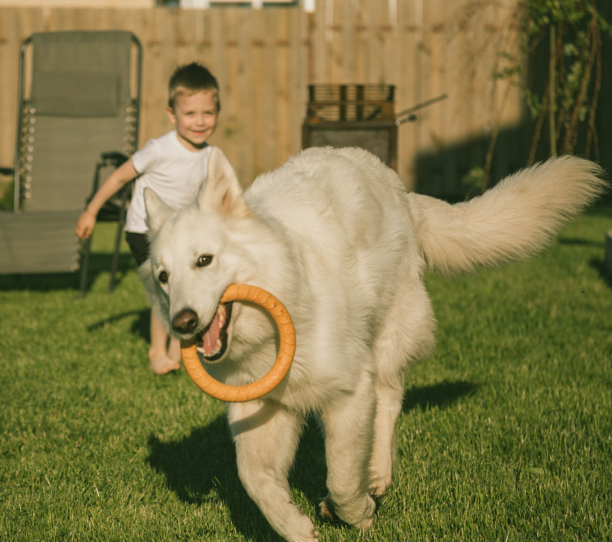 Семейная фотосессия. Фотограф Serge Goze