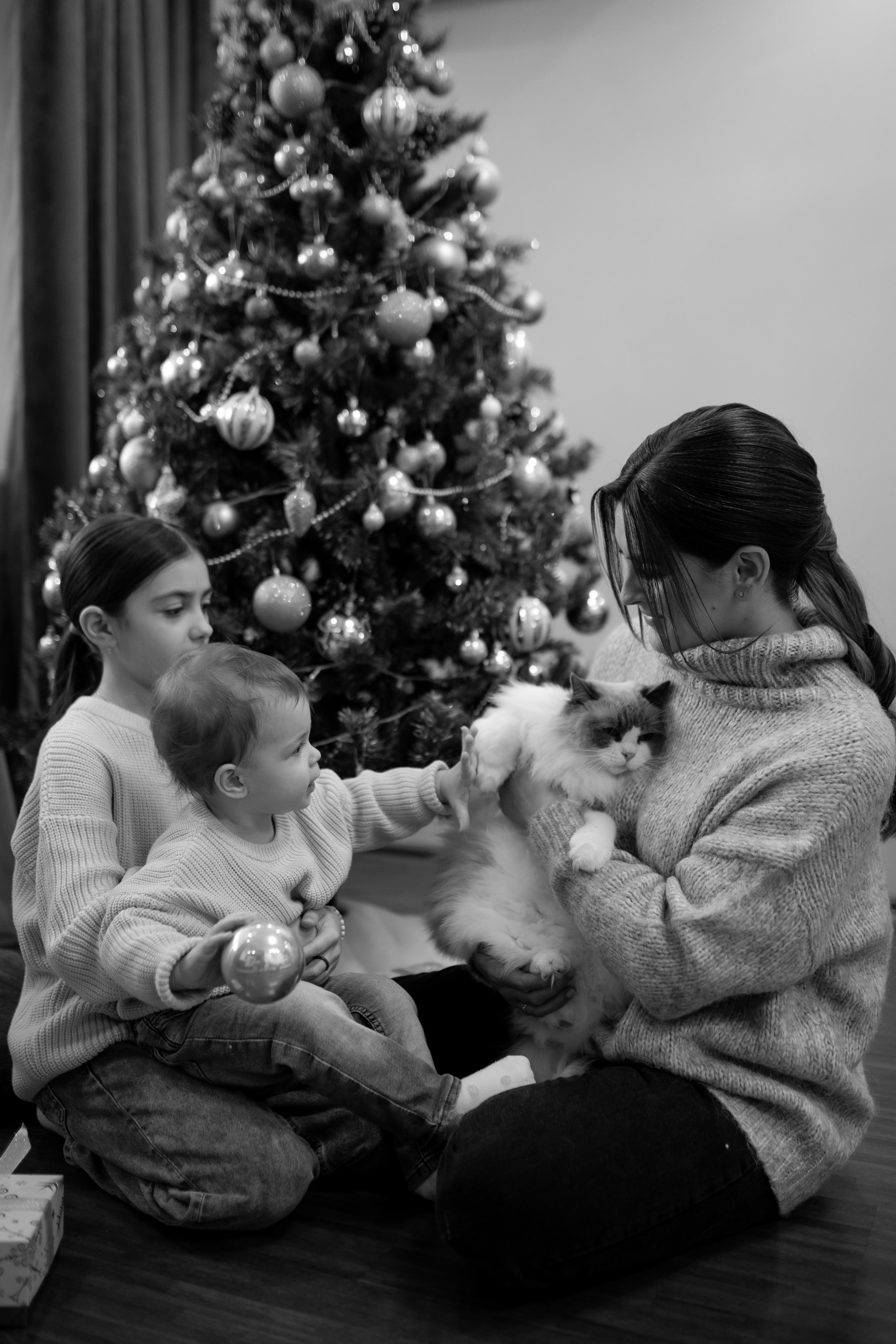 Домашняя новогодняя. Свадебный фотограф Екатерина Герк
