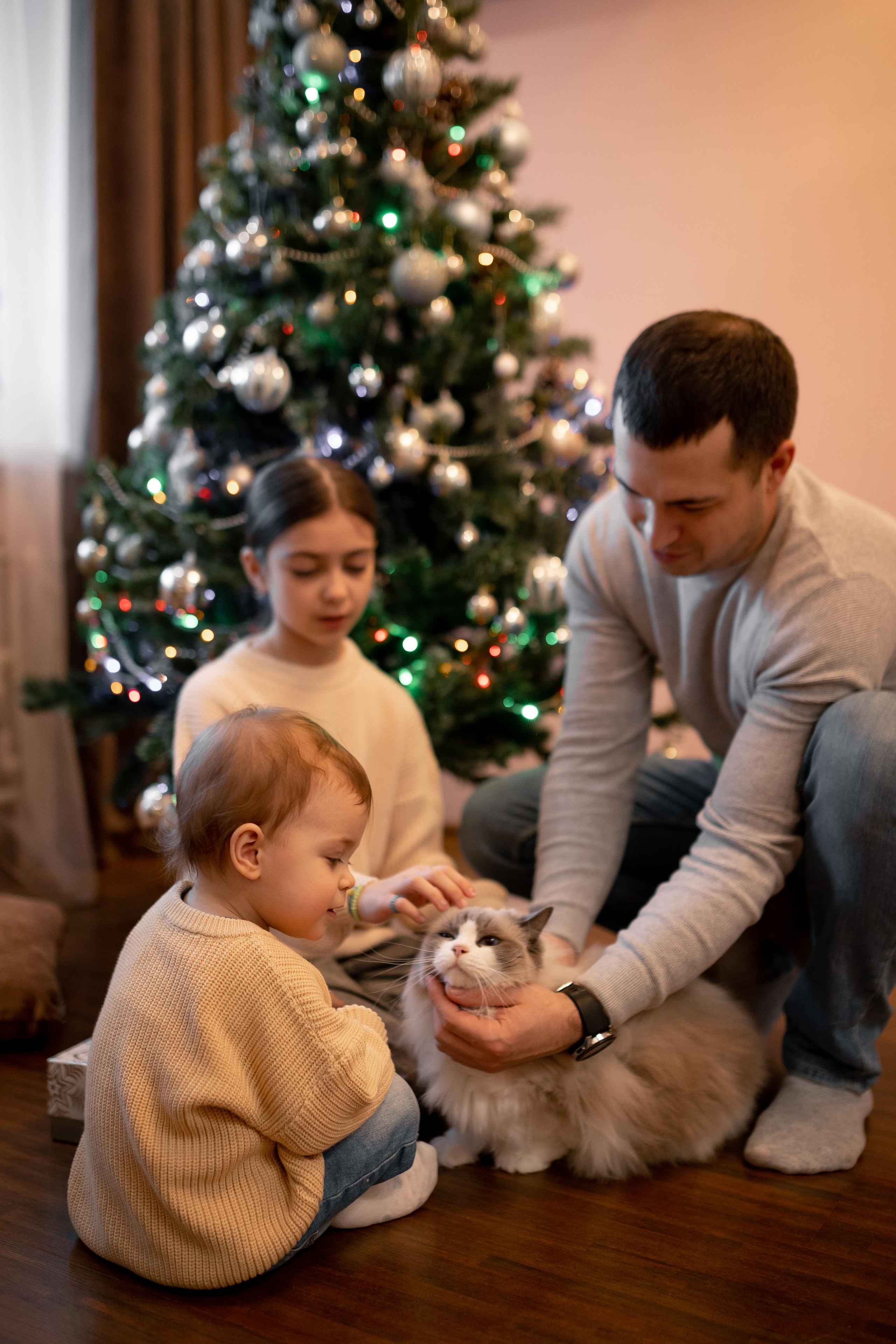 Домашняя новогодняя. Свадебный фотограф Екатерина Герк