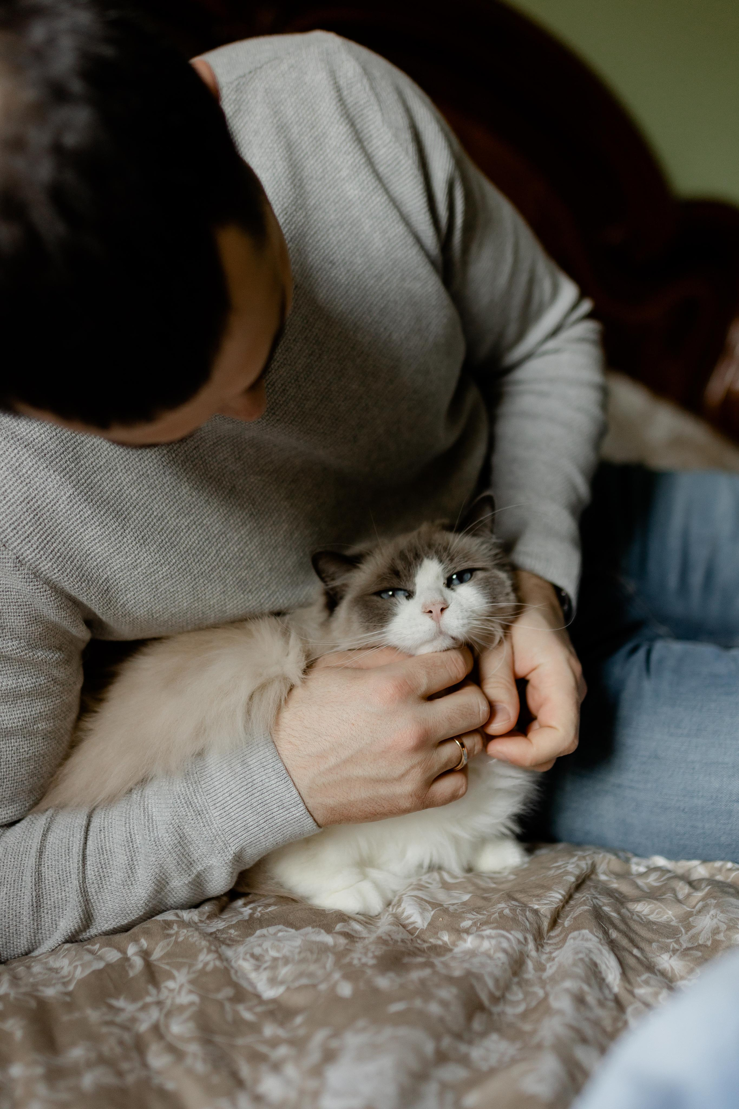 Домашняя новогодняя. Свадебный фотограф Екатерина Герк