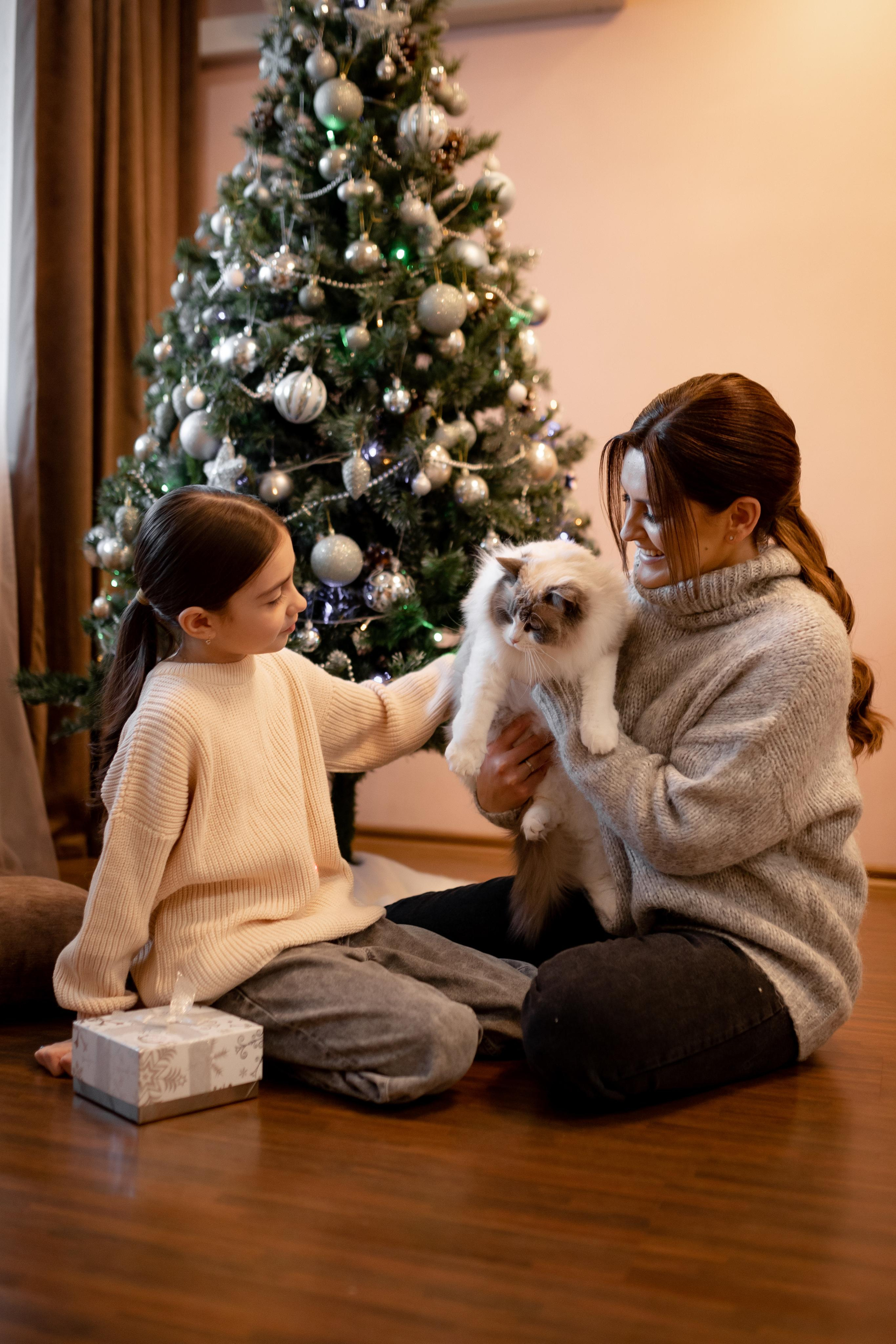 Домашняя новогодняя. Свадебный фотограф Екатерина Герк