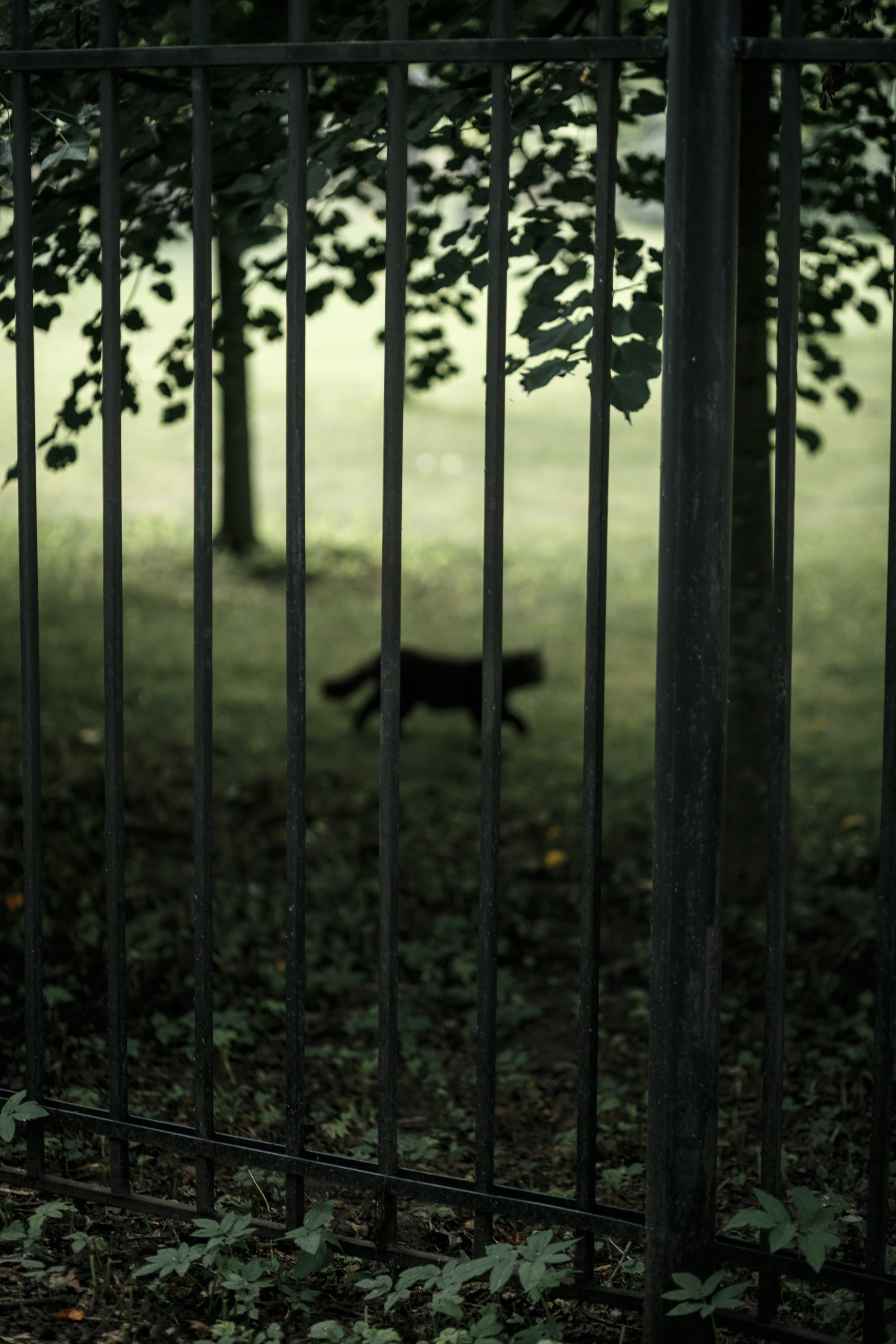 Венчание. Свадебный фотограф Игорь Брундасов 8PHOTO на свадьбу венчание загс СПб