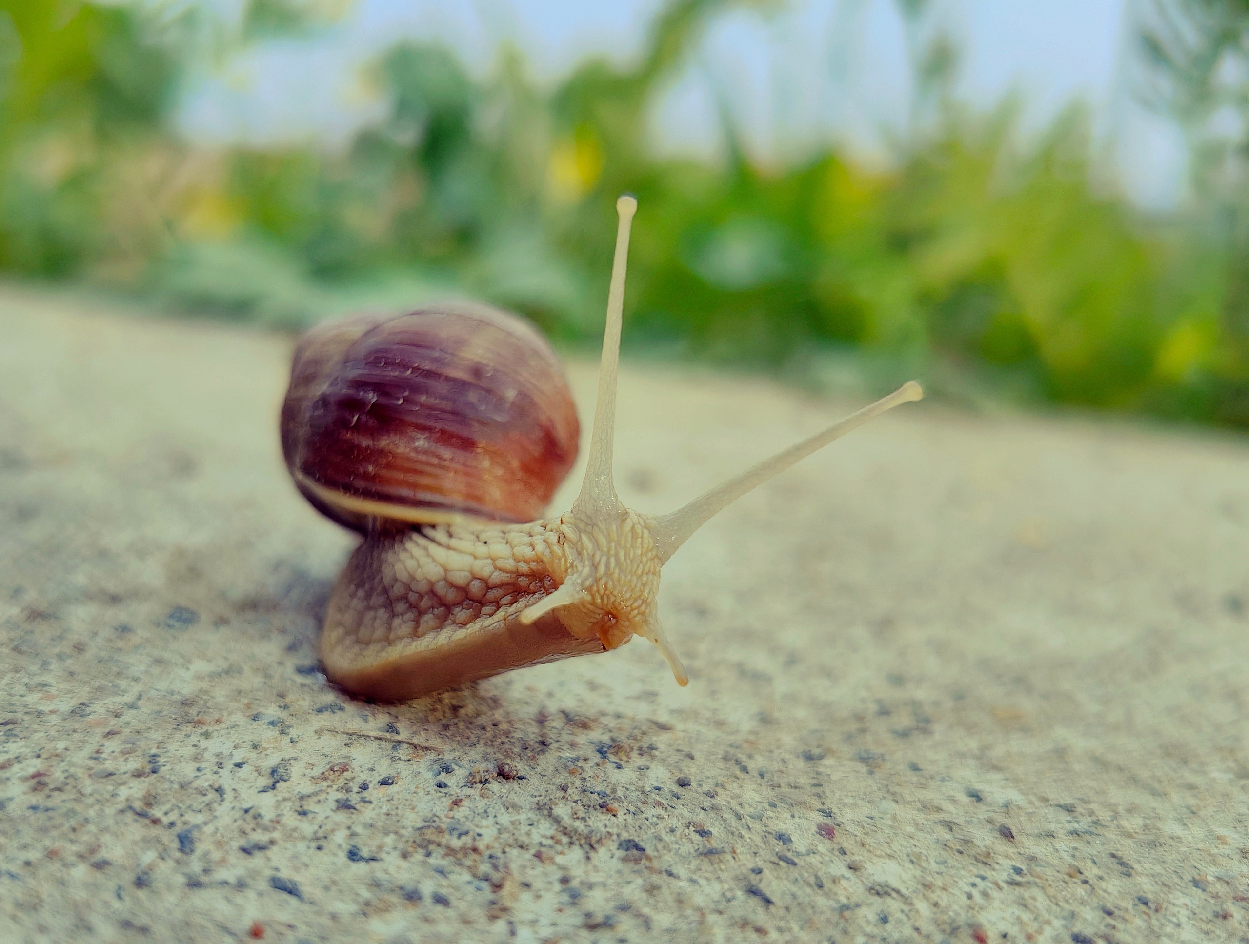 Уличная съемка. Фотограф и оператор Илья Гунбин