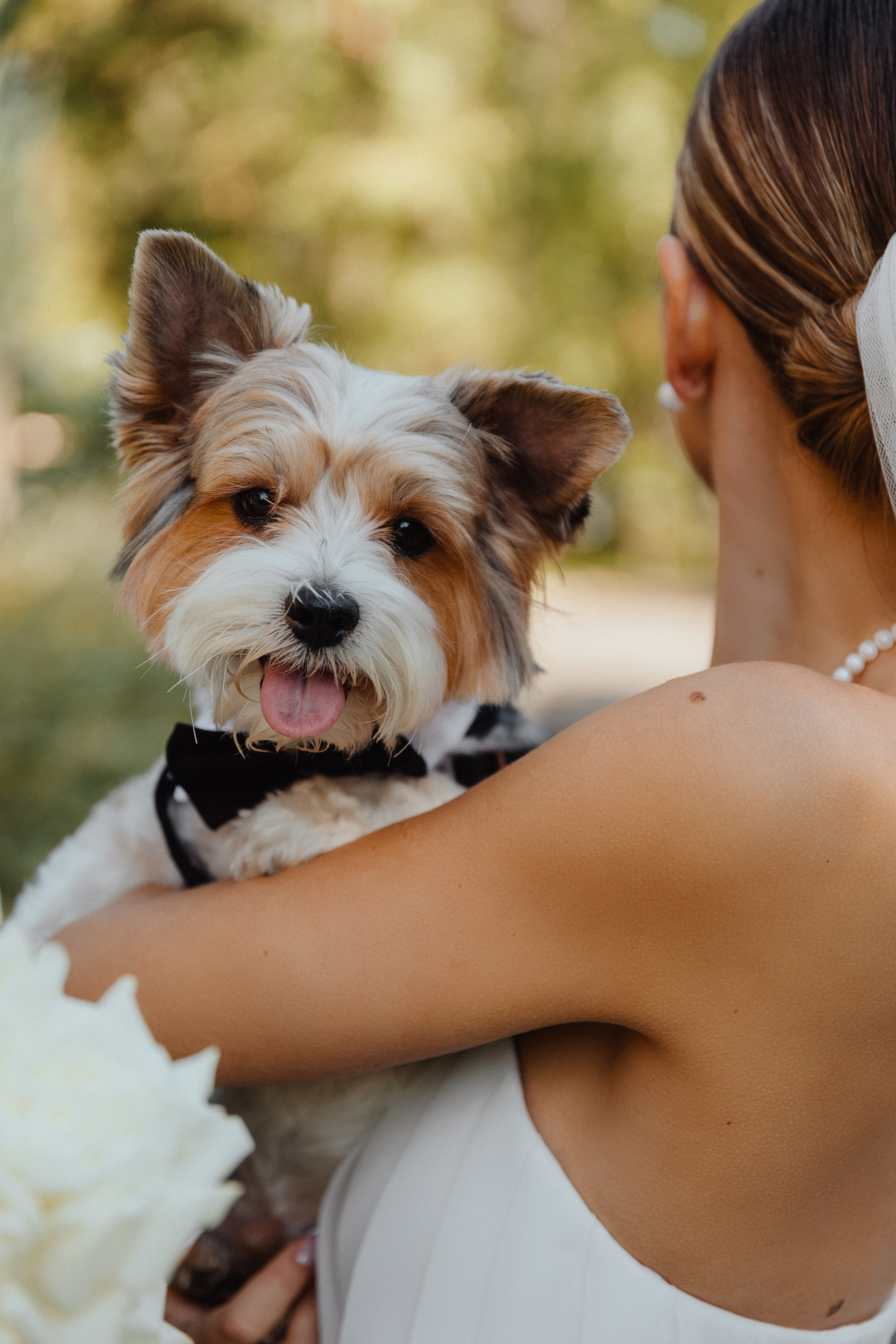 Между нами любовь. Свадебный фотограф Анастасия Пальчикова