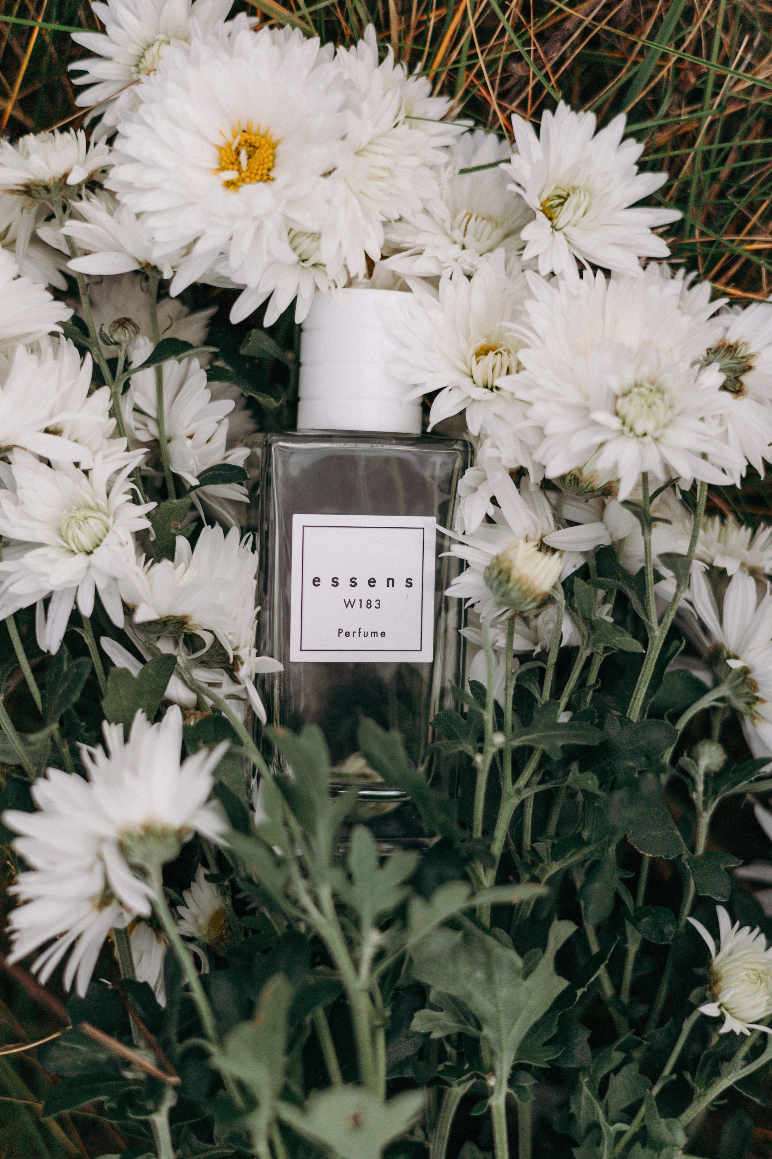 Кейс аромастилист. Ваш фотограф