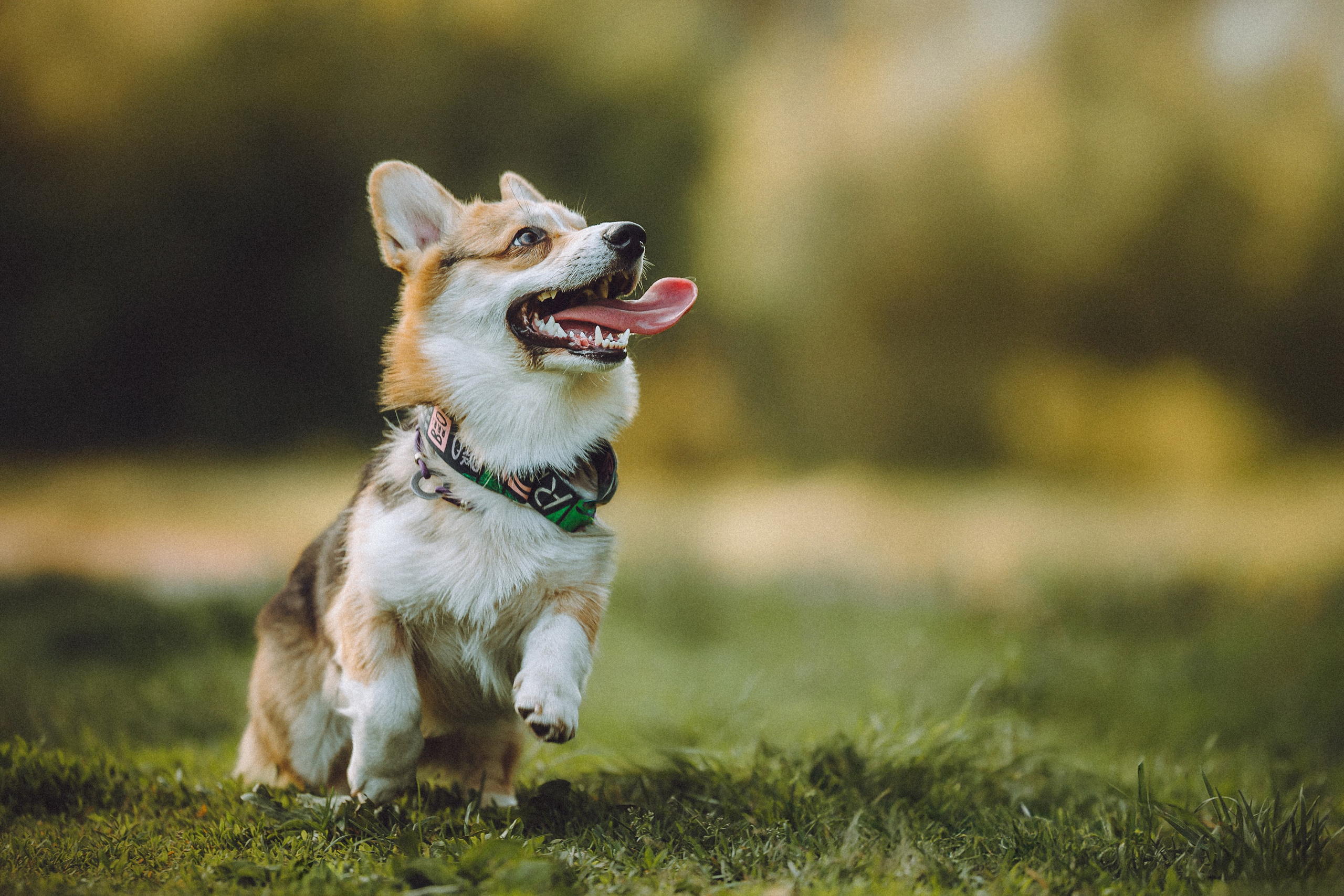 Илай, Зайка и их семья