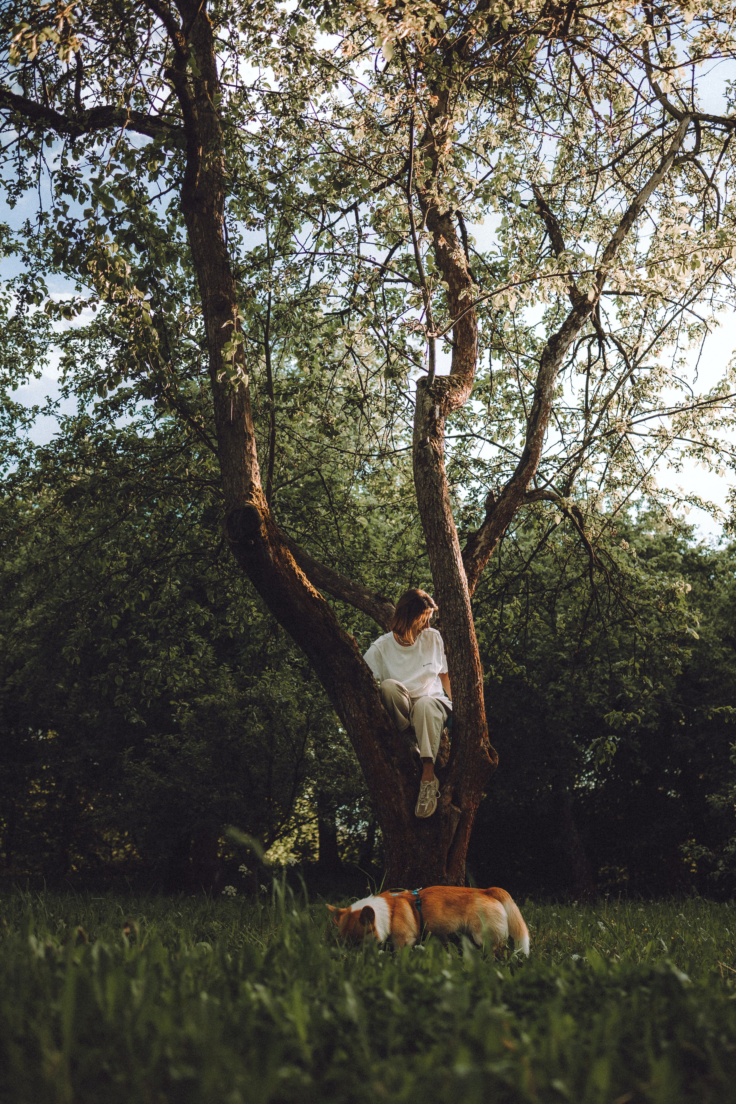 Вирджик и его семья