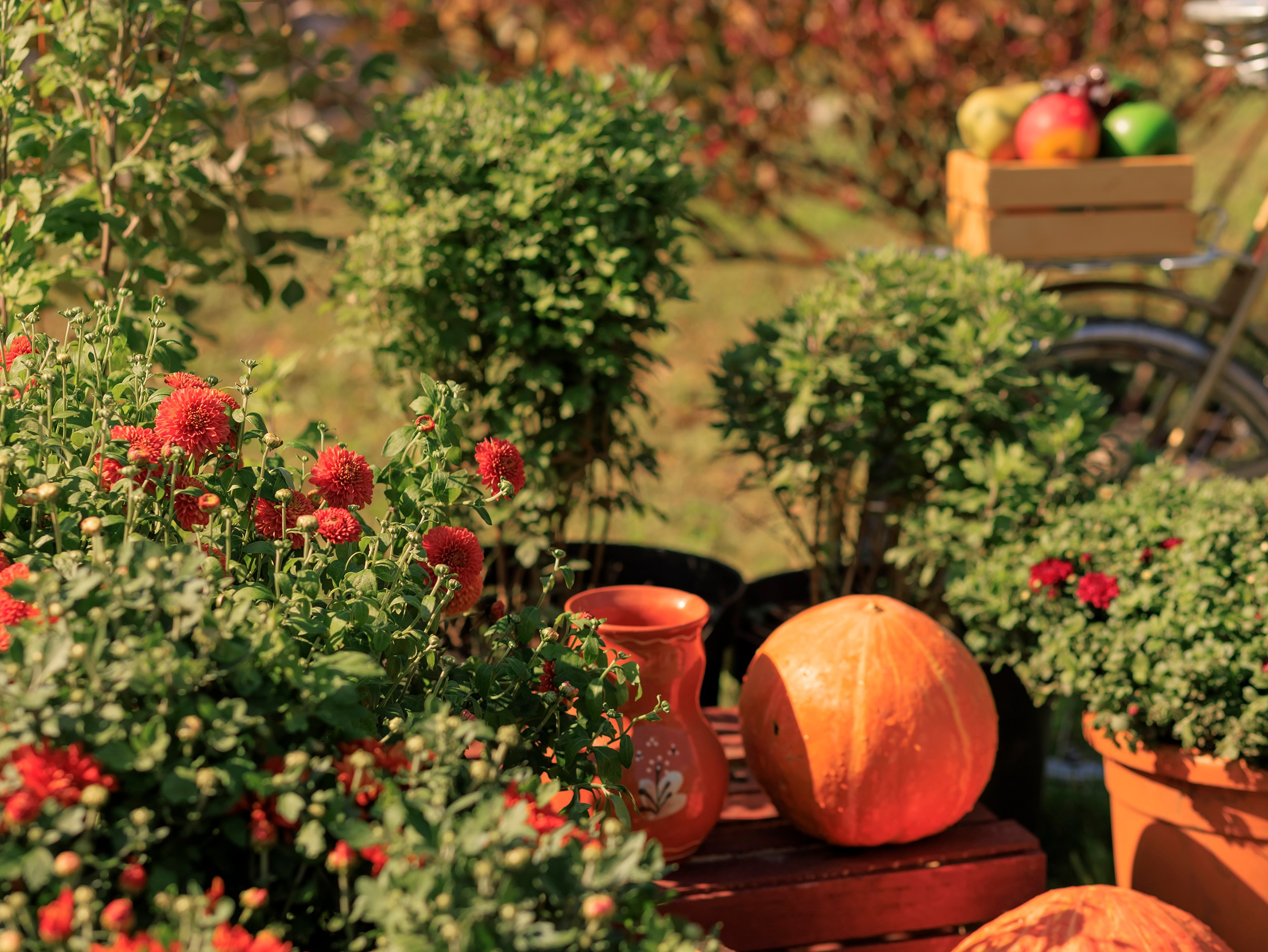 Парк-заповедник Купидон. Семейный фотограф в Димитровграде Елена Патрушева