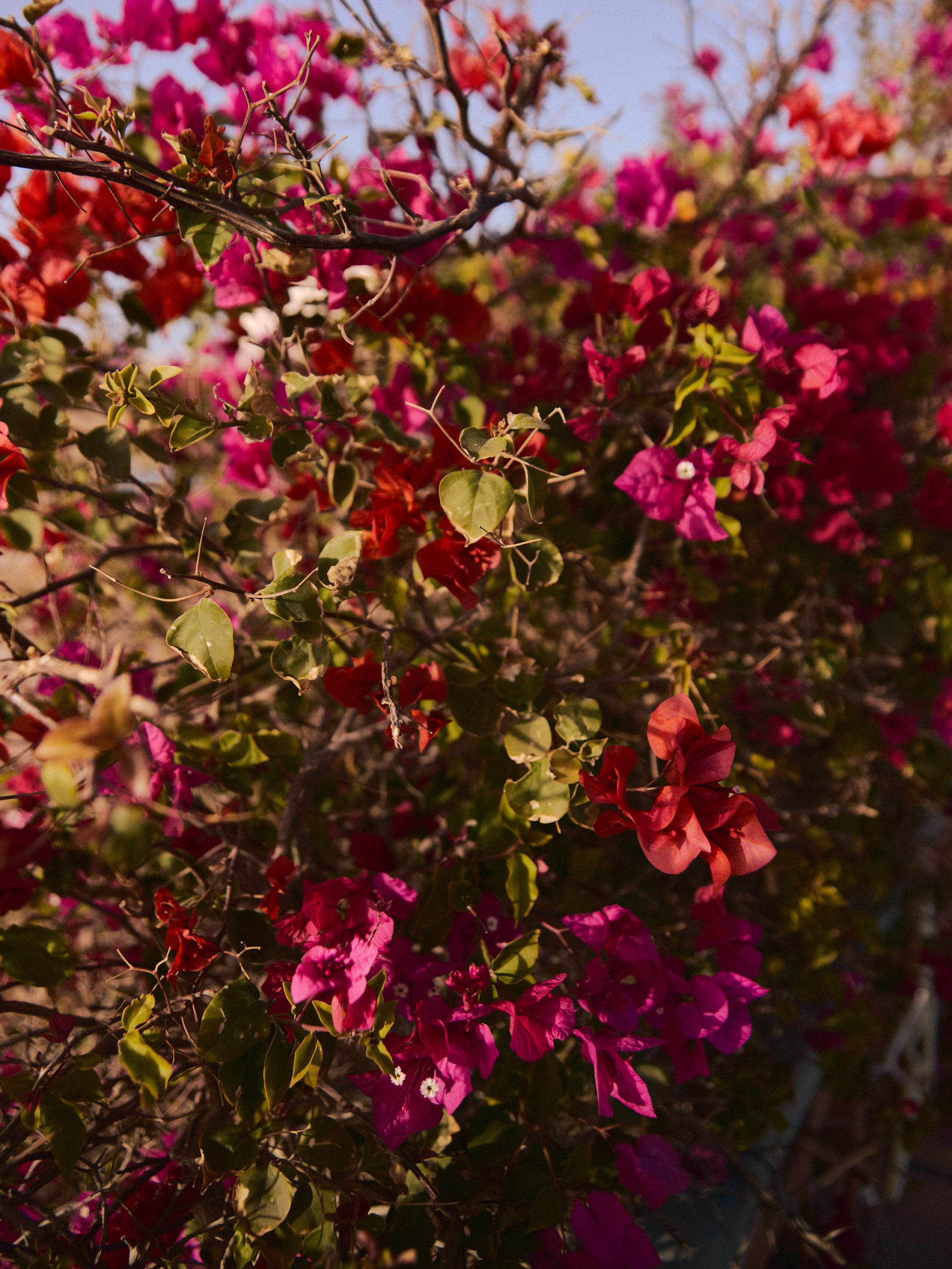 Диптих. Jorgis — фотограф в Хургаде / обучение фотографии