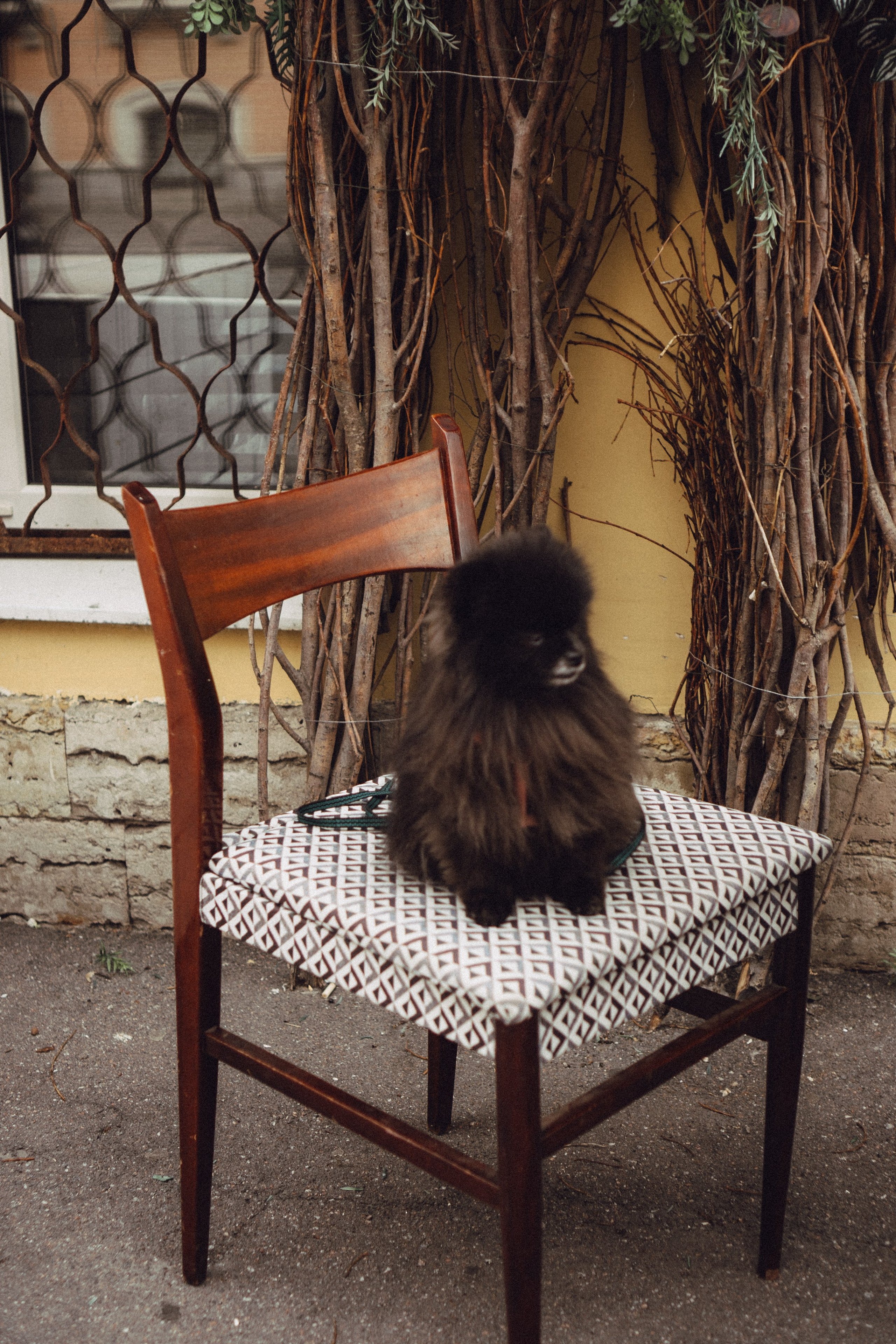 Беременность (только часть фото по желанию клиентов могу показать)). Профессиональный фотограф, Санкт-Петербург — Виктория Богомолова