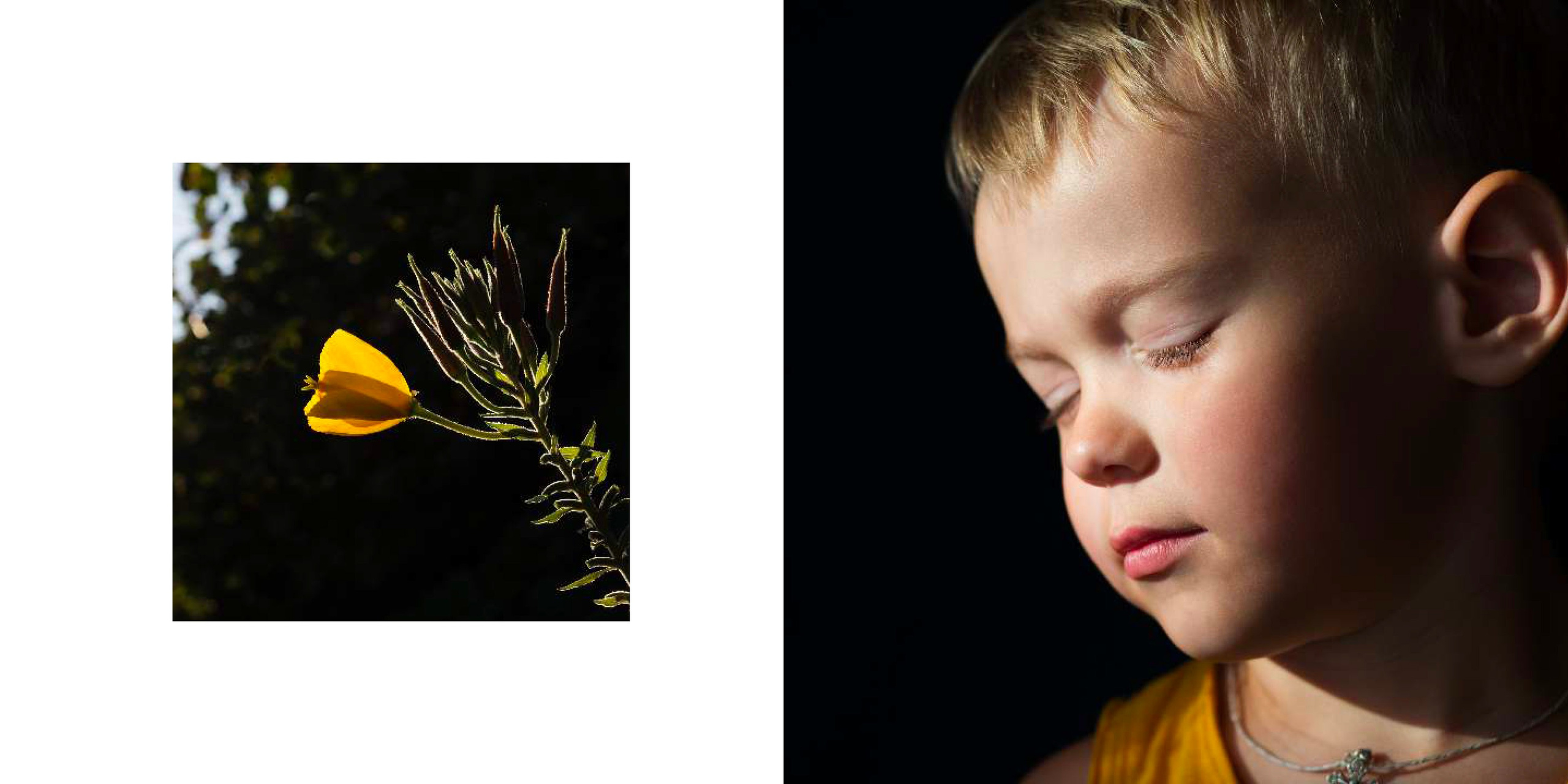 BEST FAMILY BOOK 2017