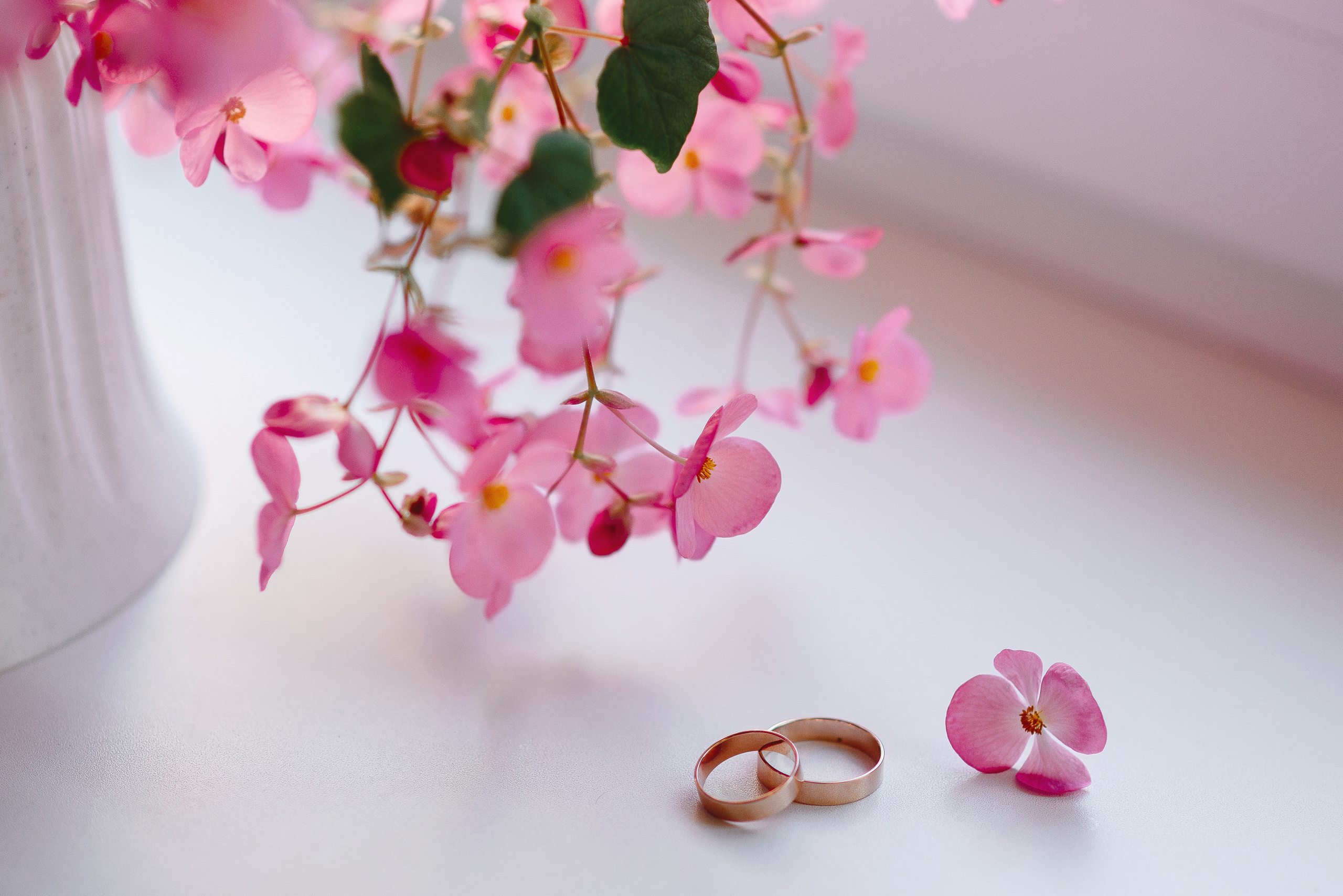 Александр и Елизавета 23 июля 2022 АНОНС. Свадебный фотограф в Минске и Жлобине Светлана Карпович