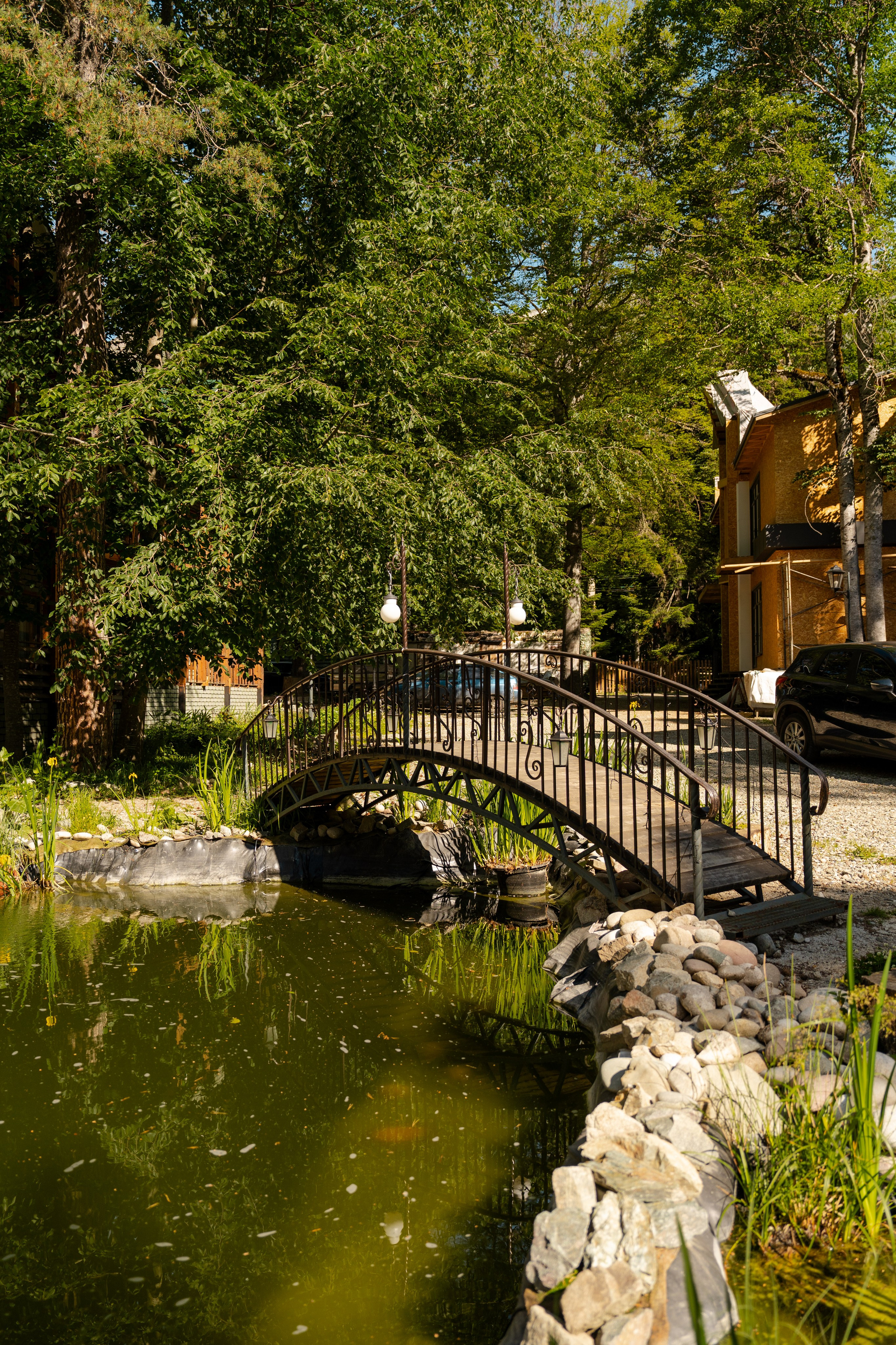 Green Park. Фотограф и видеограф Елена Хмелевская