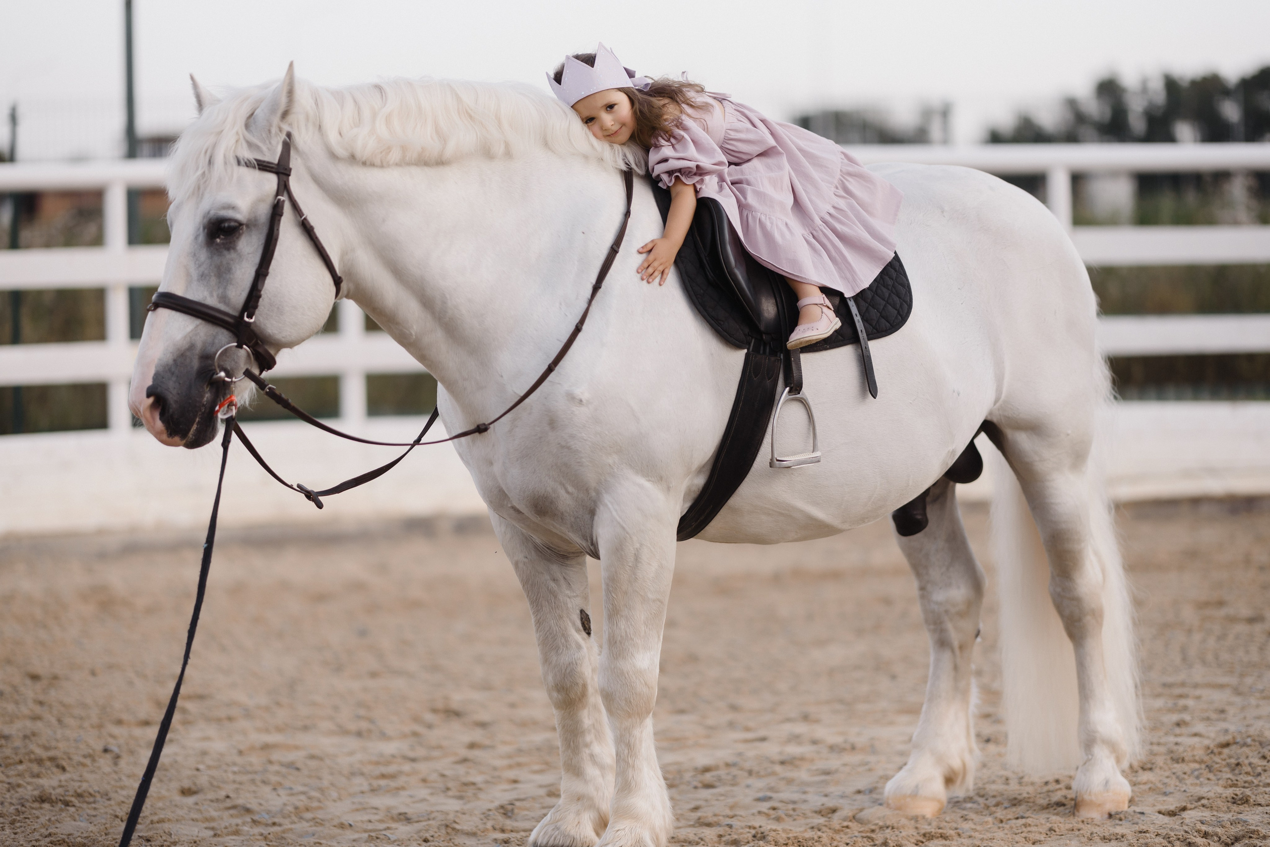 Вова, Кристина и Полина. Свадебный фотограф и видеограф