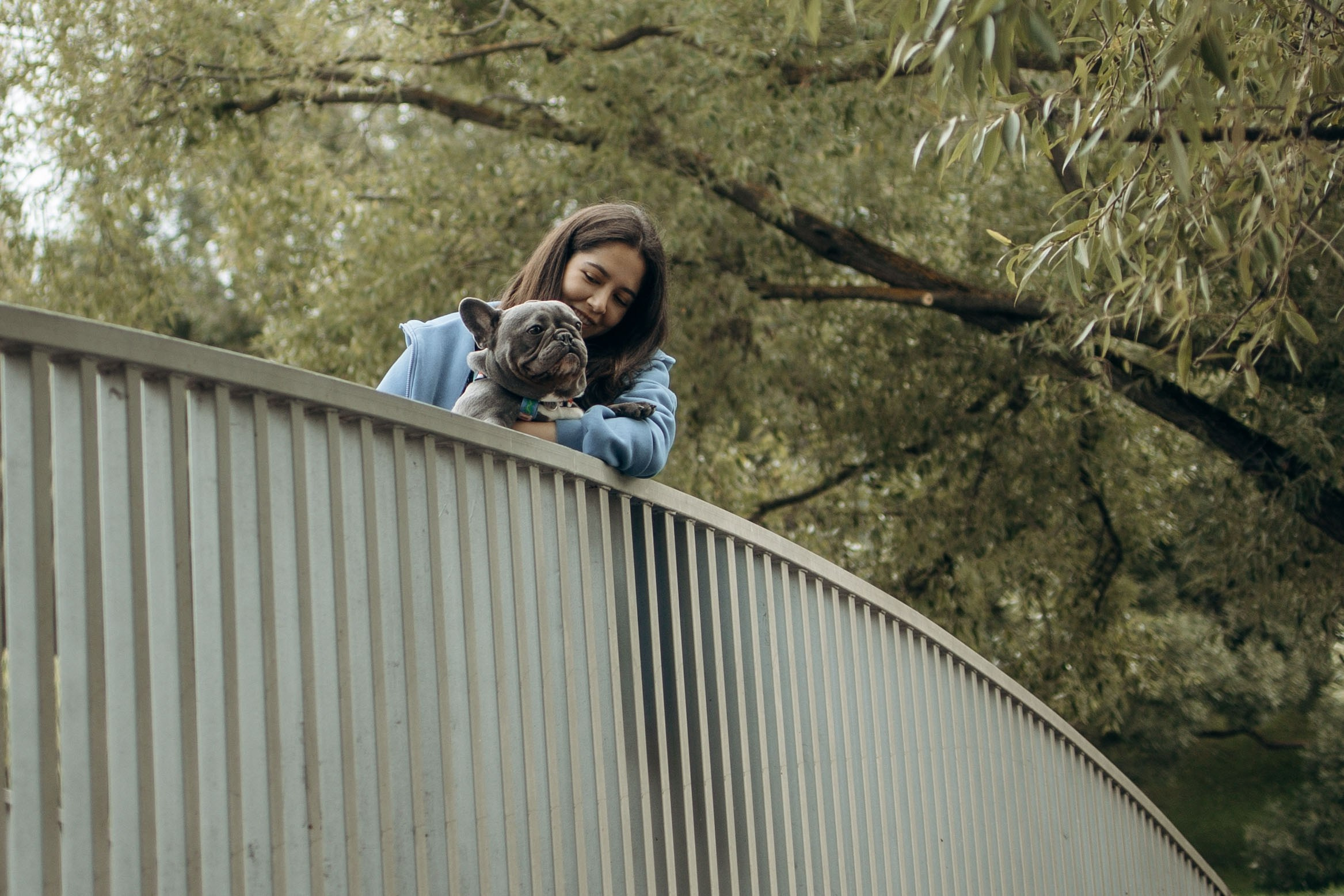 Грей и его семья