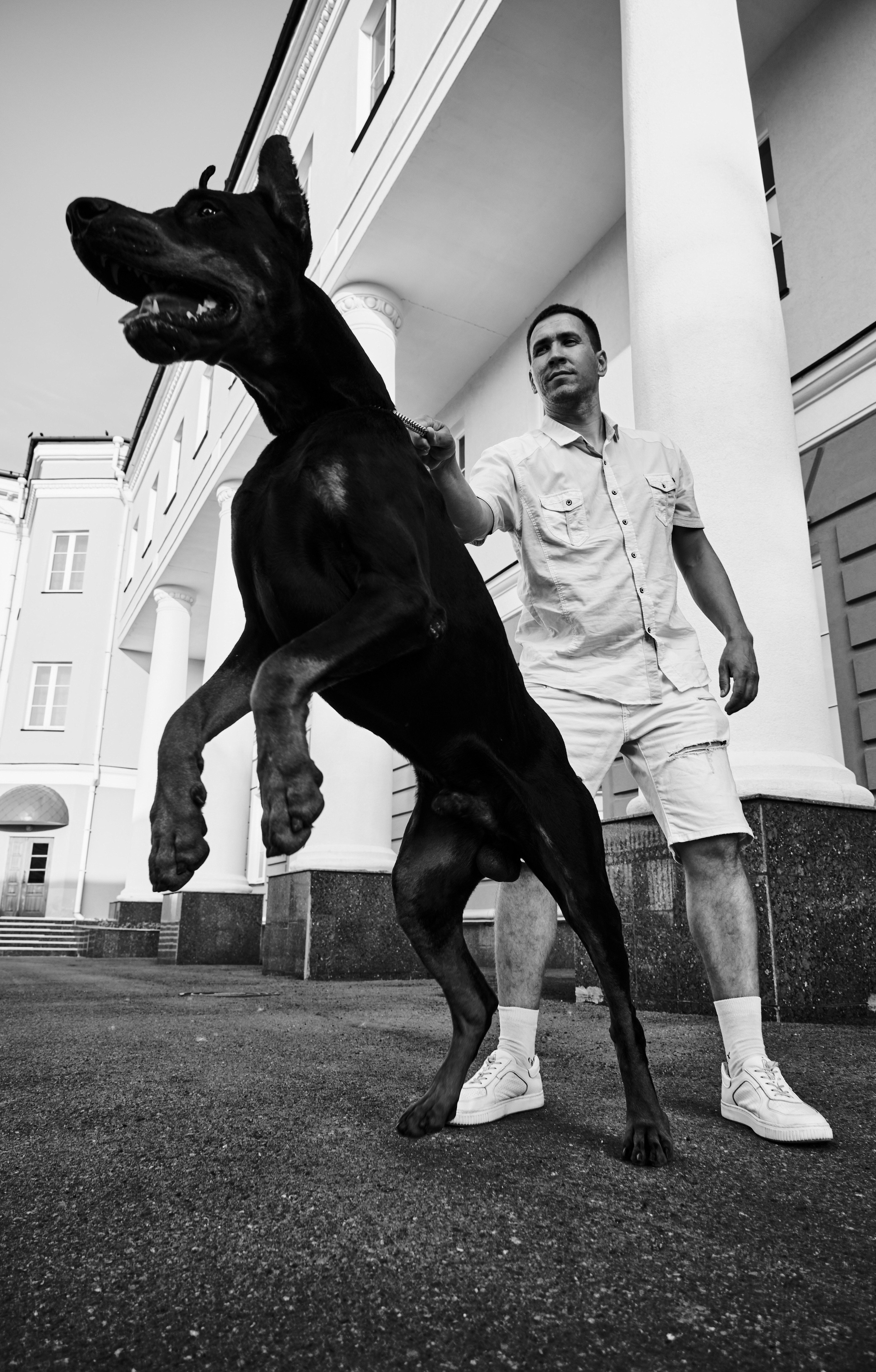 Фотосессия с домашним любимцем в Ижевске