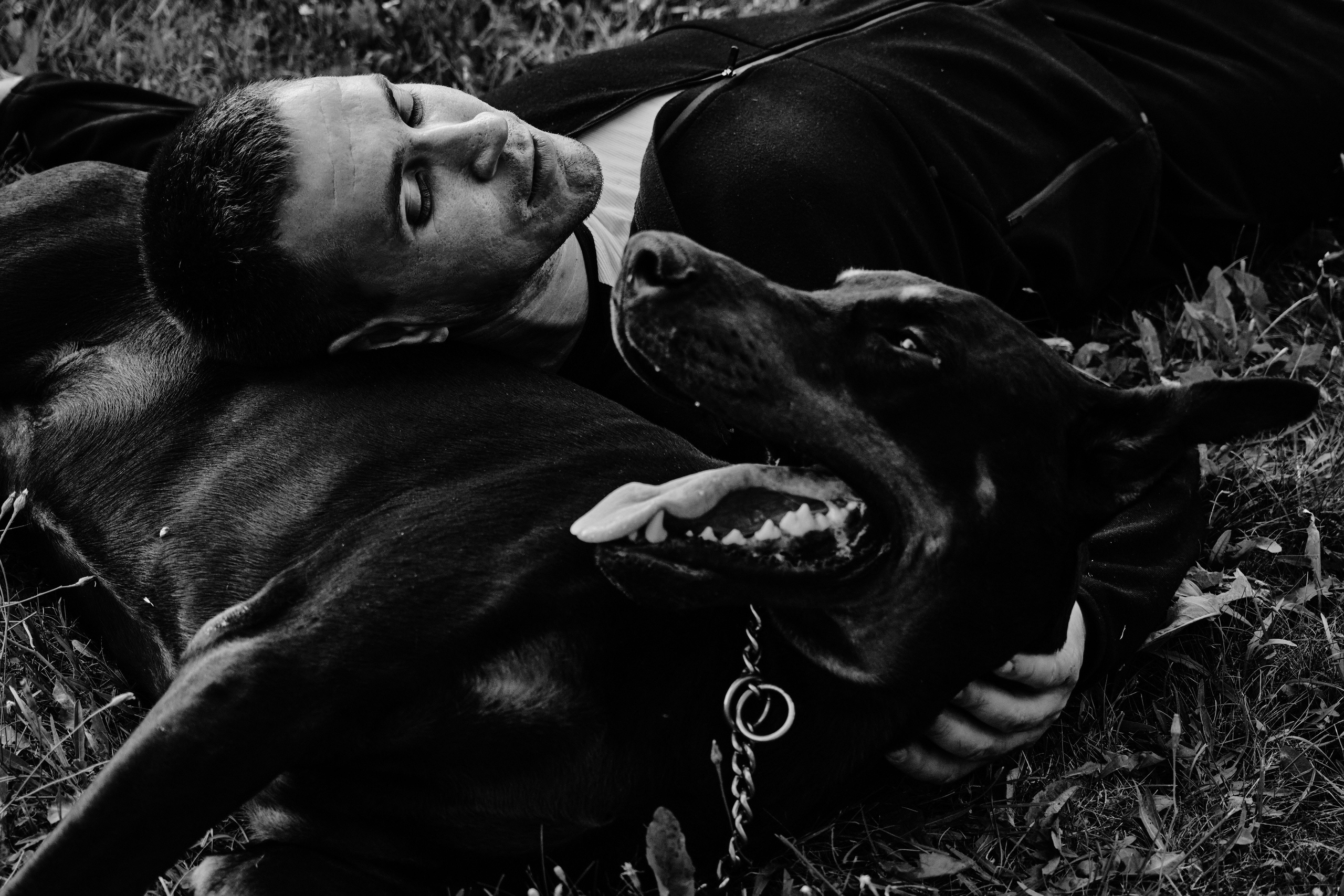 Фотосессия с доберманом в Ижевске