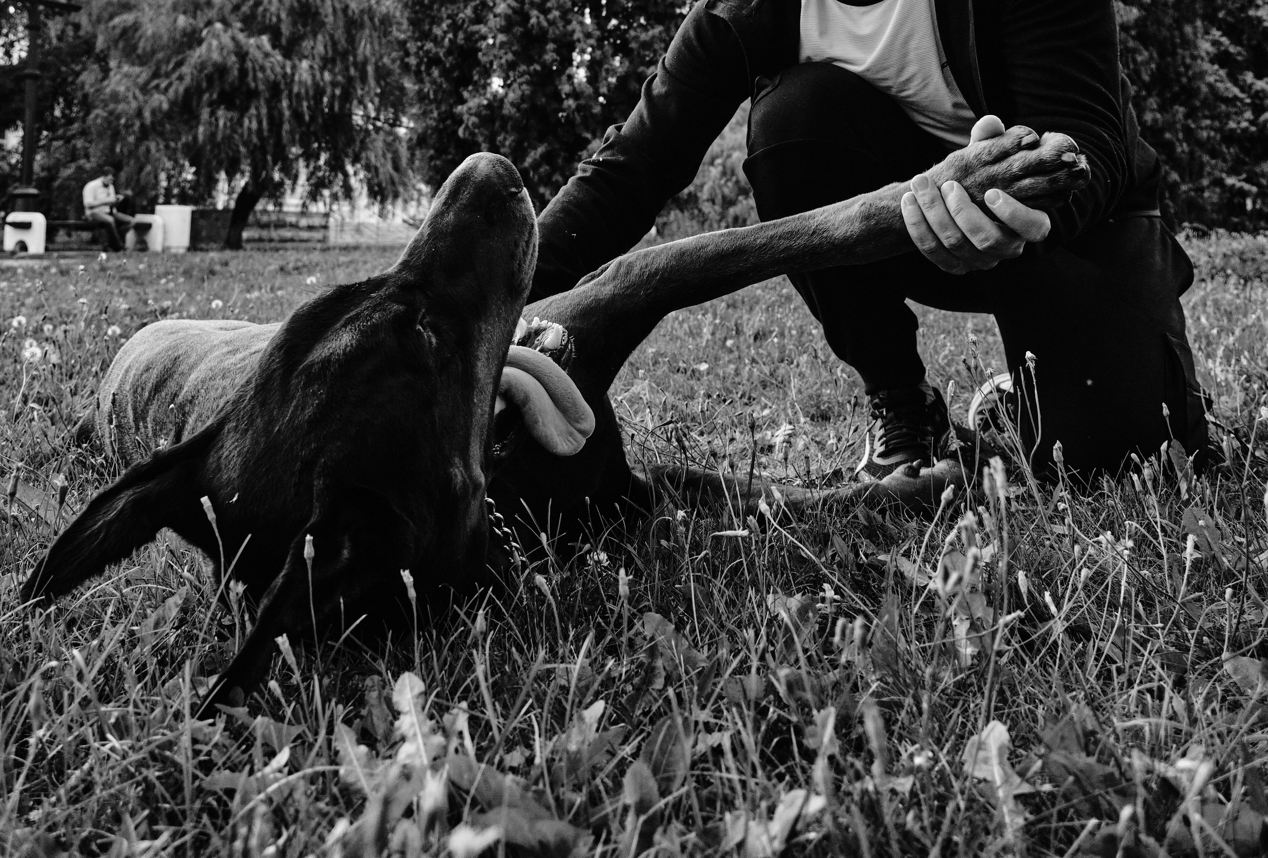 Саша и Гэллант. Ася Ложкина фотограф Ижевск