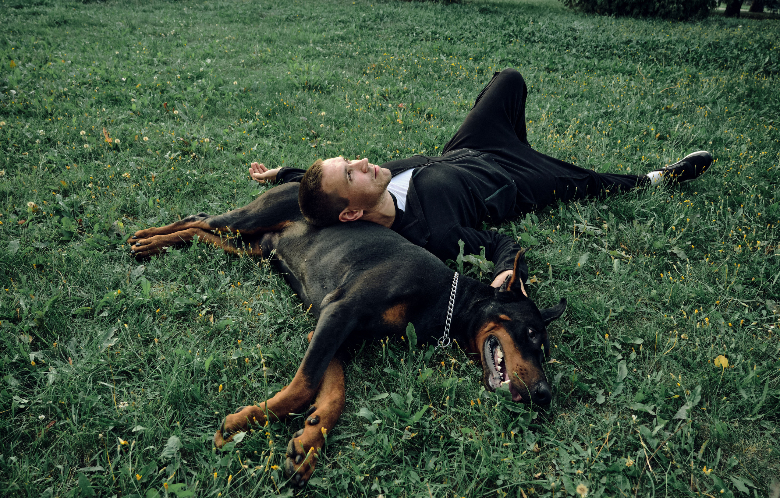 Саша и Гэллант. Ася Ложкина фотограф Ижевск