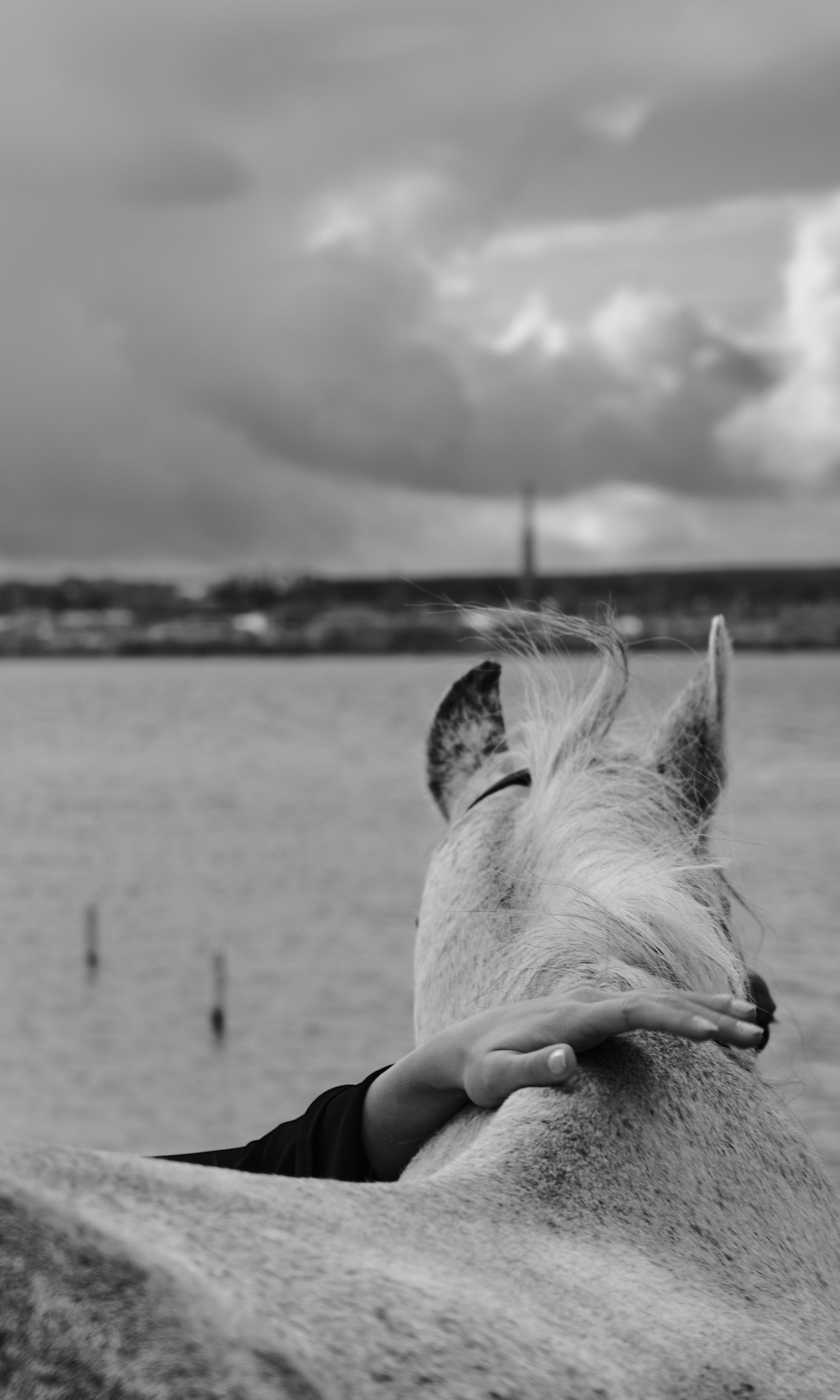 Анастасия и Диаспора. Ася Ложкина фотограф Ижевск