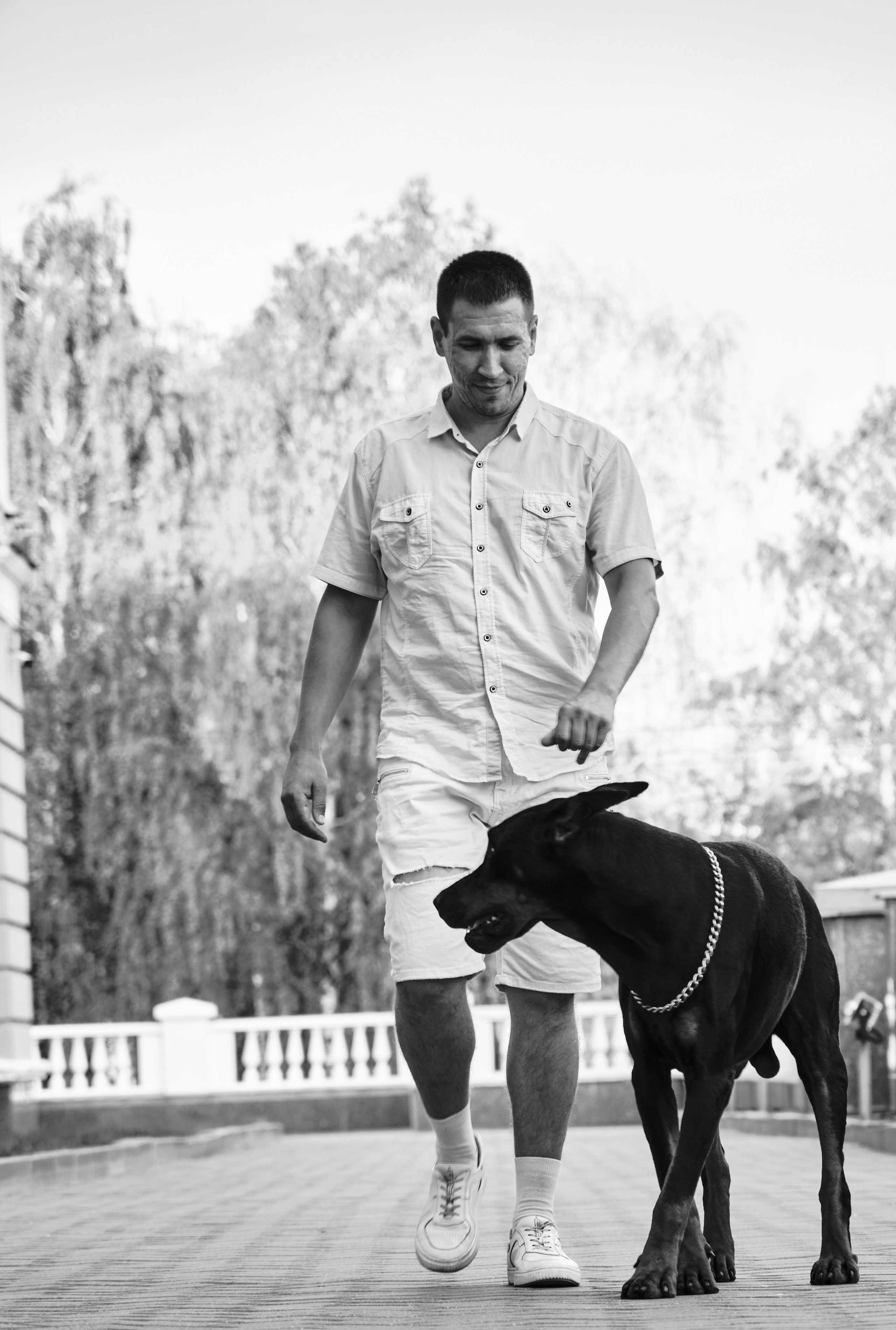 Саша и Гэллант. Ася Ложкина фотограф Ижевск