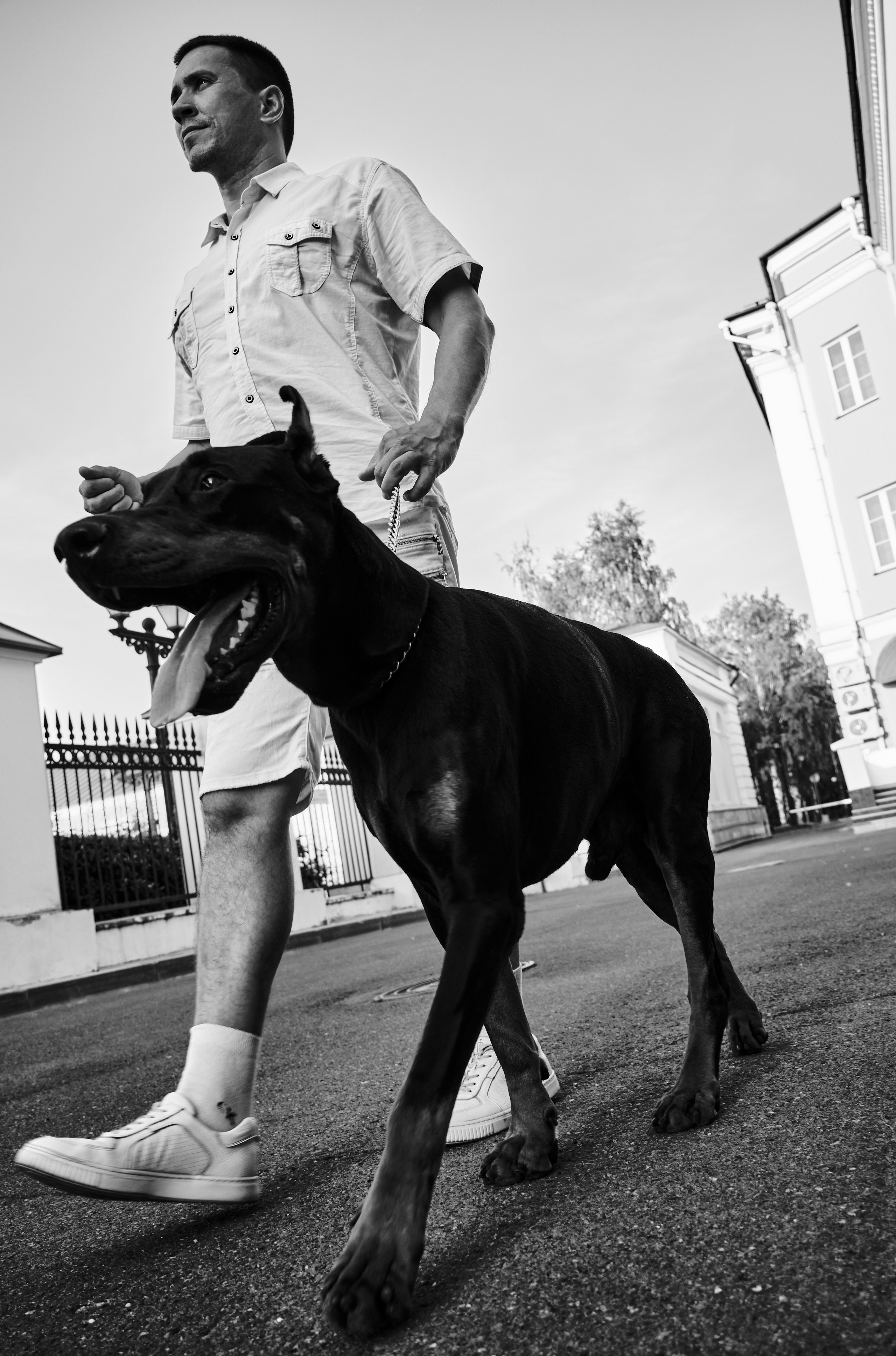 Динамическая фотосессия с собакой 