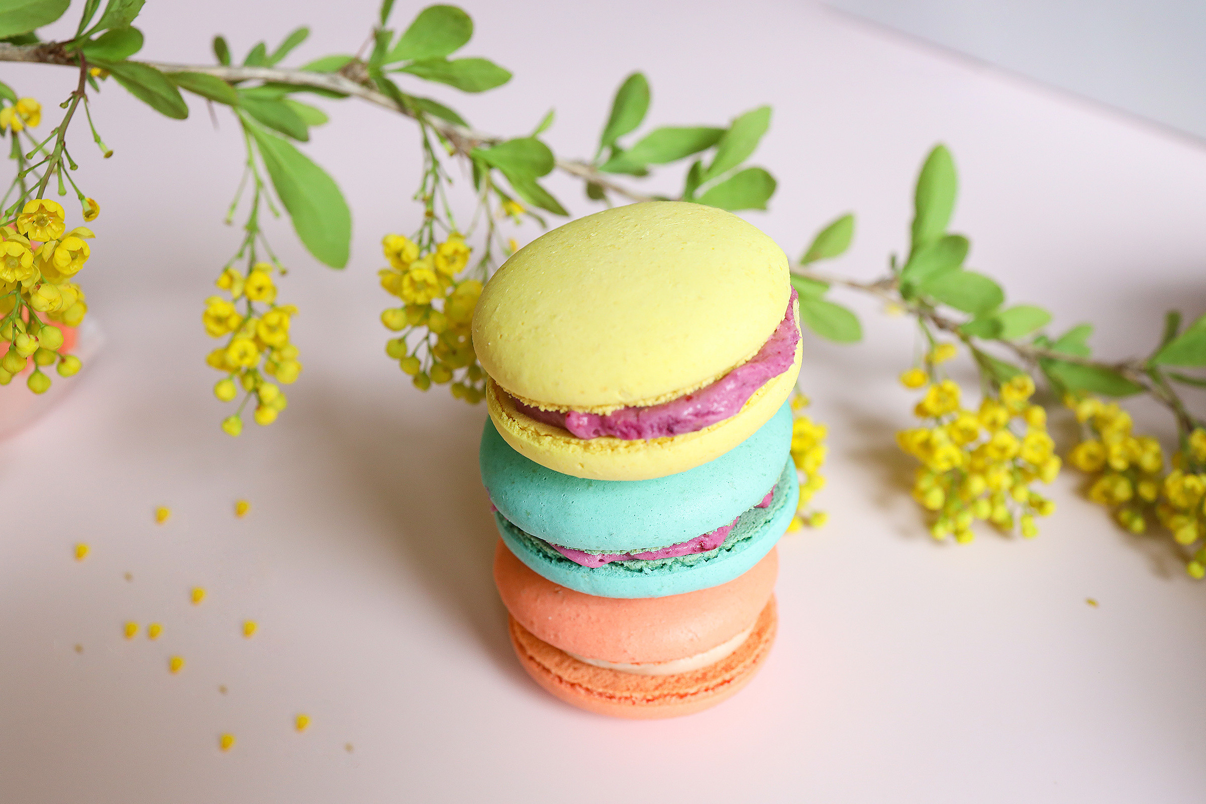 Анастасия. Кондитер. Фотограф в Красногорске Инна Романова, индивидуальные съемки, лавстори