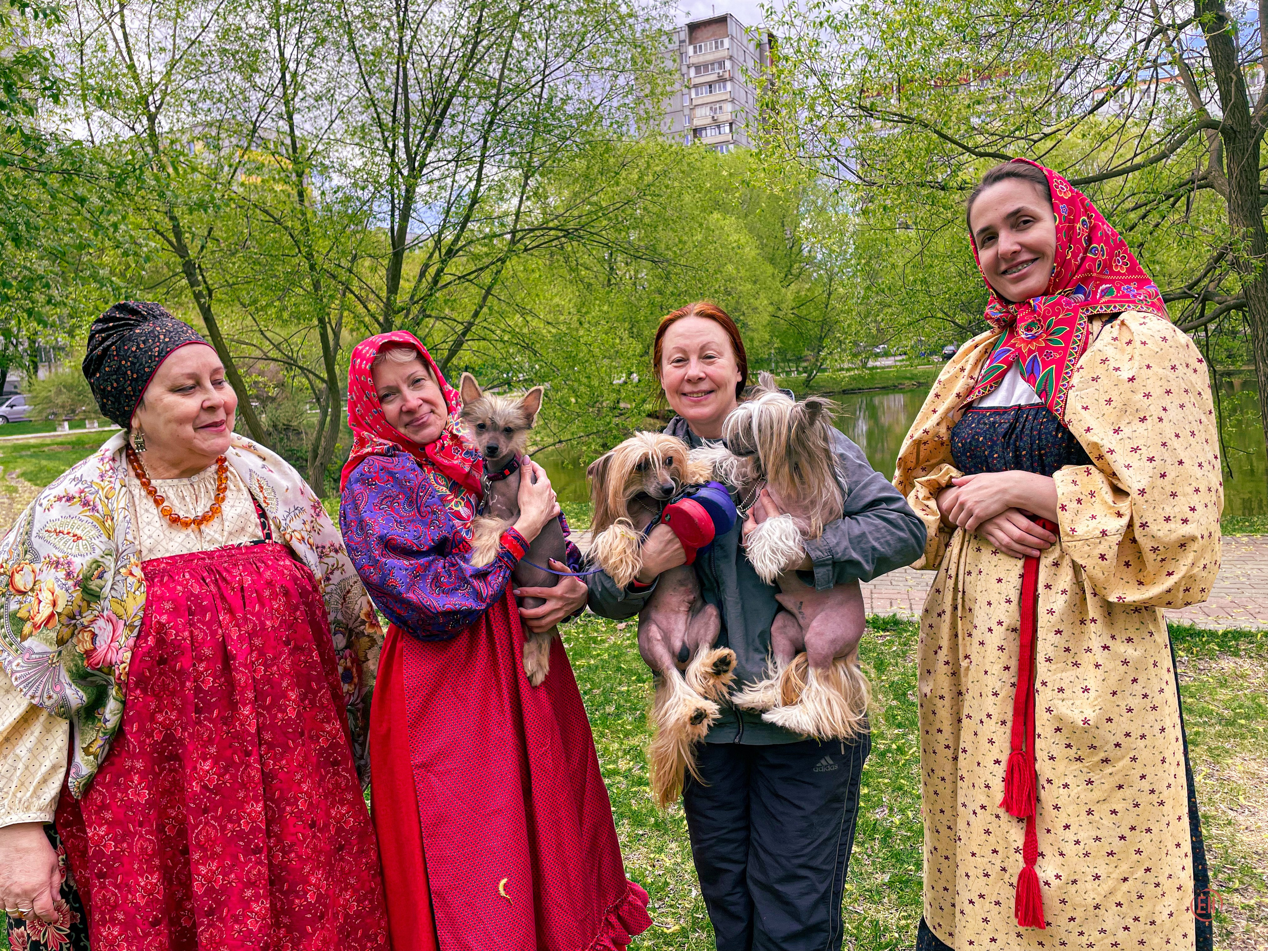 We were stopped on our walk!. Poale Ell Chinese Crested Dog Kennel: Buy a puppy from the kennel