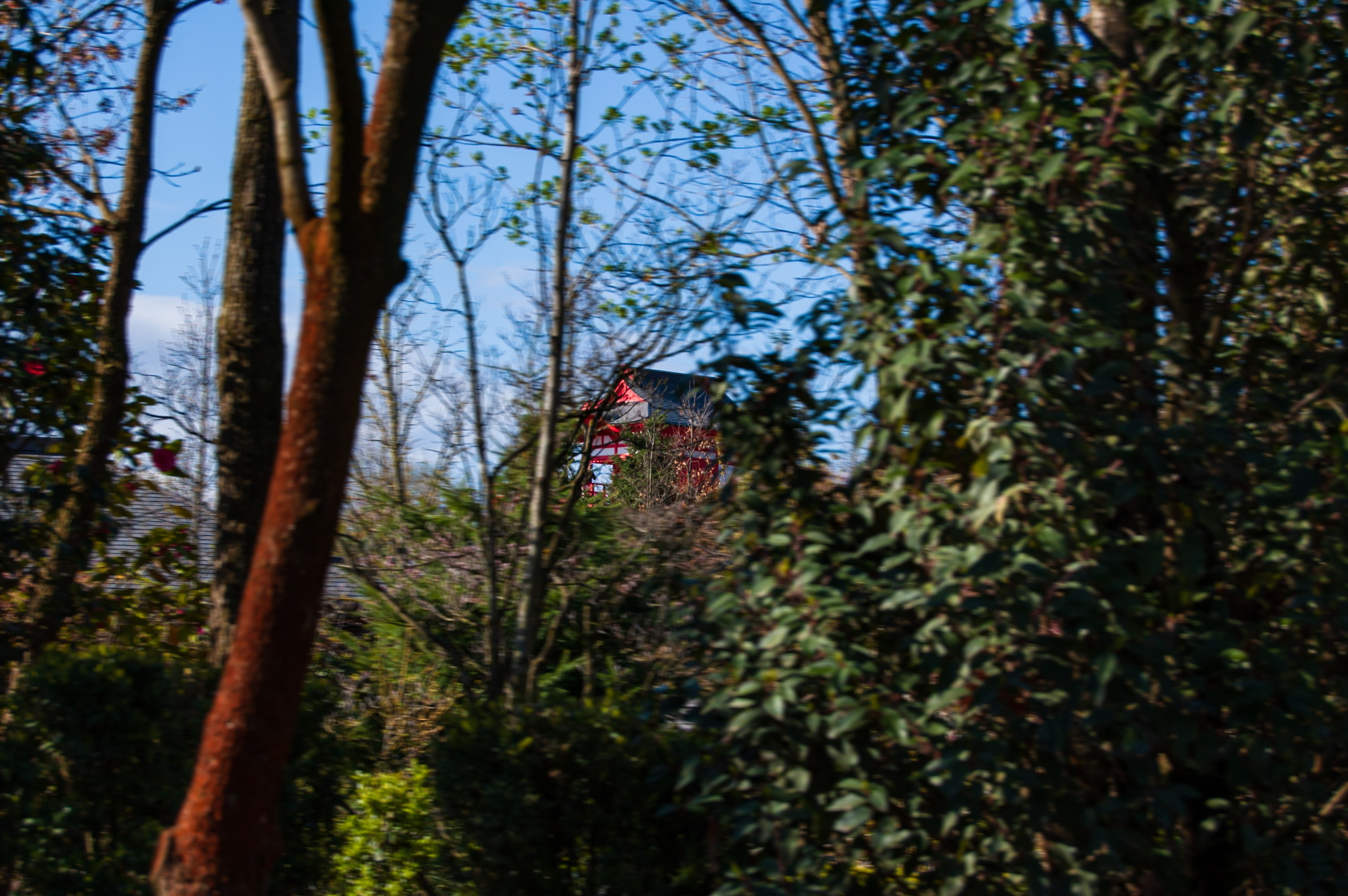 Фотосессия эстетики Японского сада в Краснодаре. Портретный фотограф в Краснодаре Слава Никитин