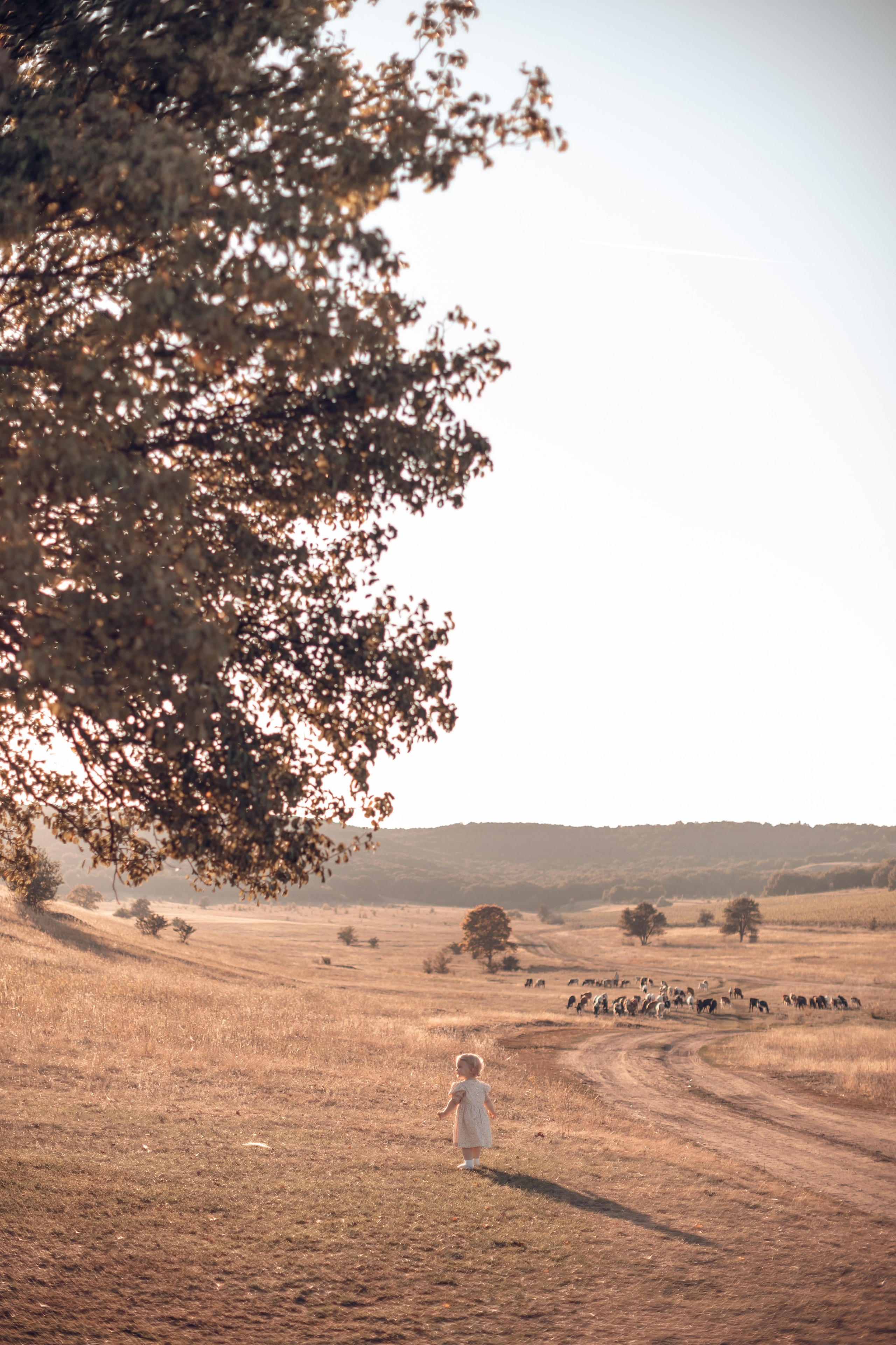 Золотой час. Главная