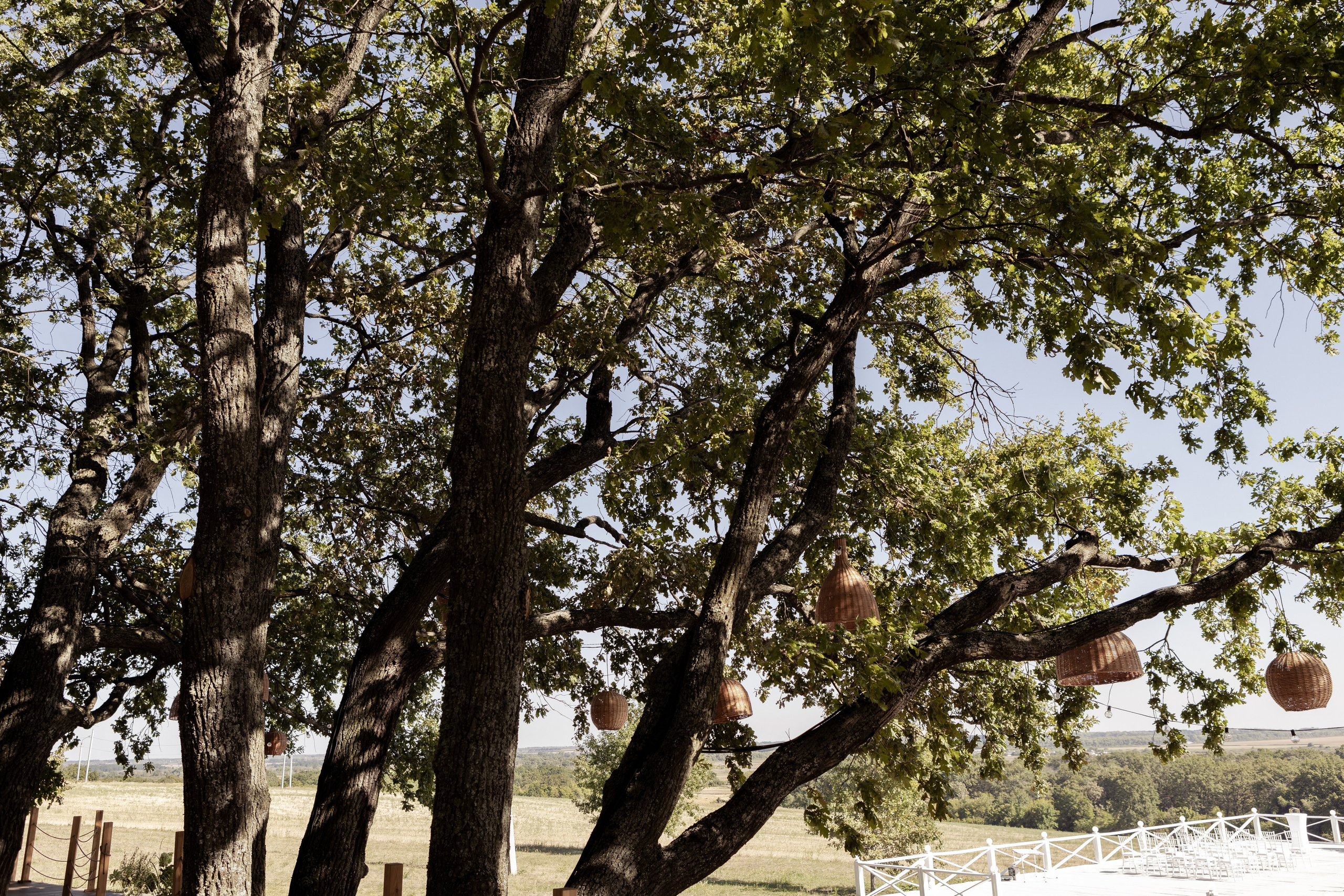 Саша и Виталия. Свадебный фотограф в Воронеже Вероника Богай